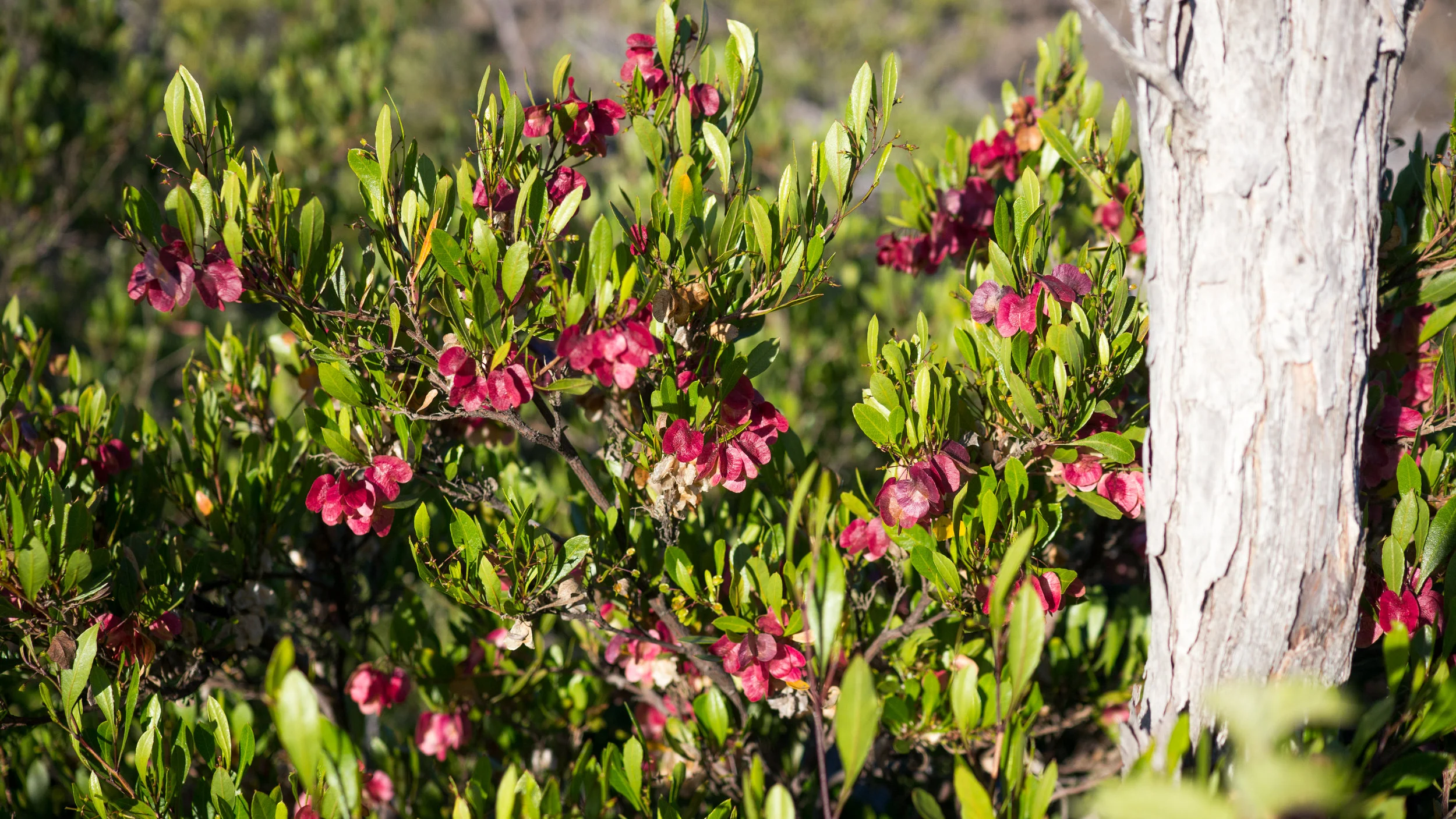 P1080390.jpg