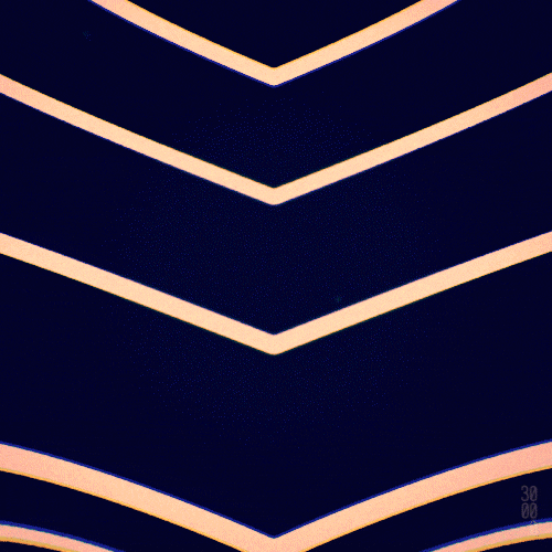 tumblr_n0ll5e5c4T1s4fz4bo1_500.gif