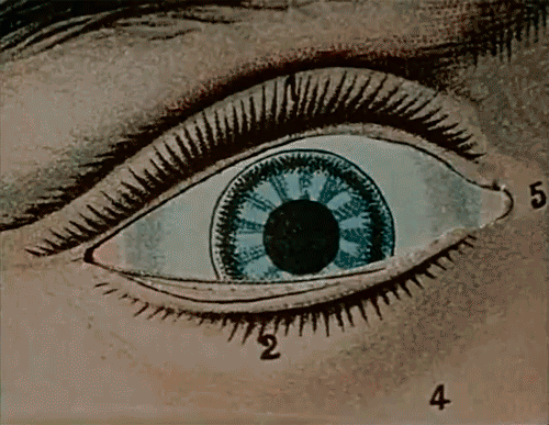 tumblr_m1ttervj7o1qfjta1o1_500.gif