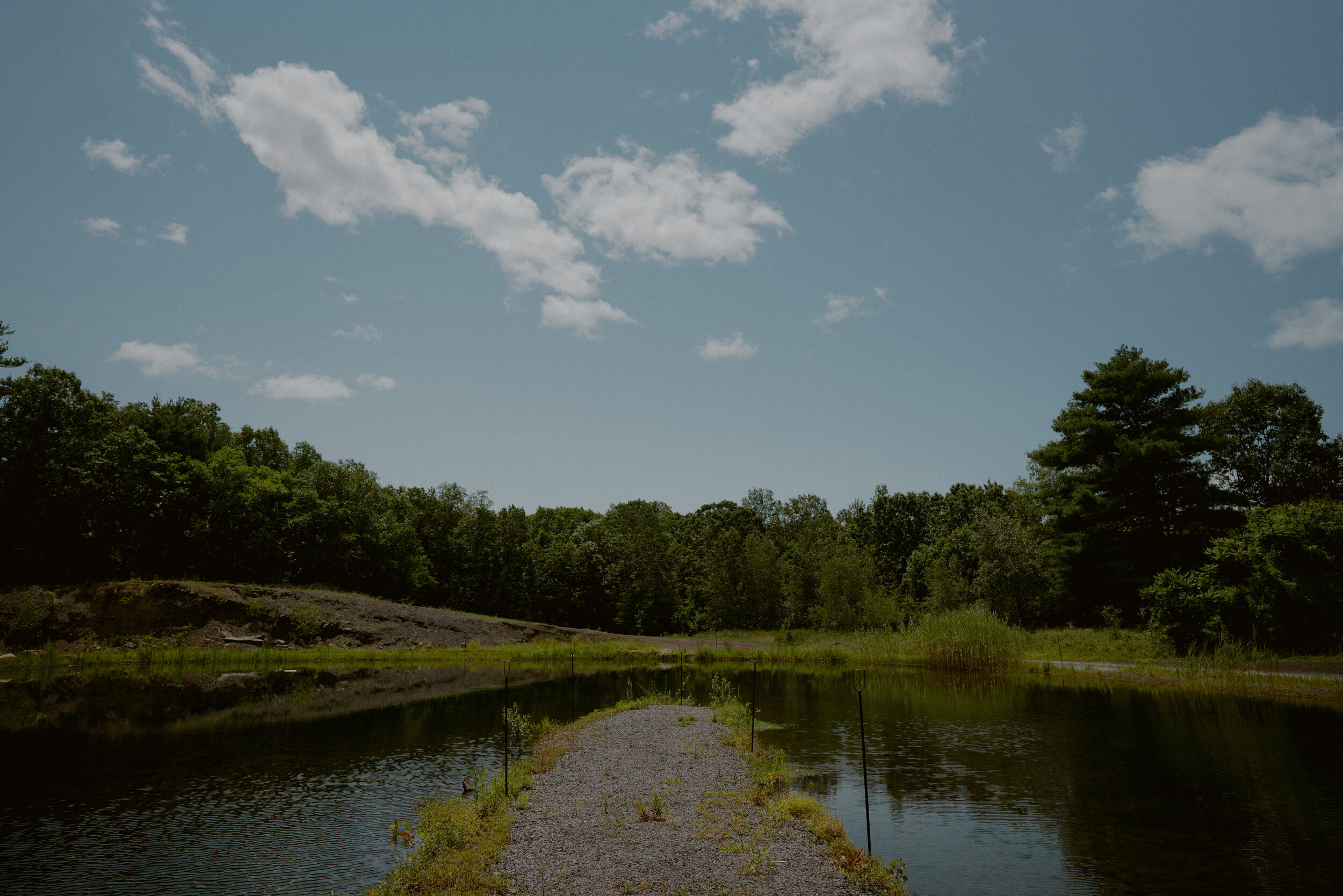 Jen&Tristan_GatherGreene_2021_Chellise_Michael_Photography-17.jpg