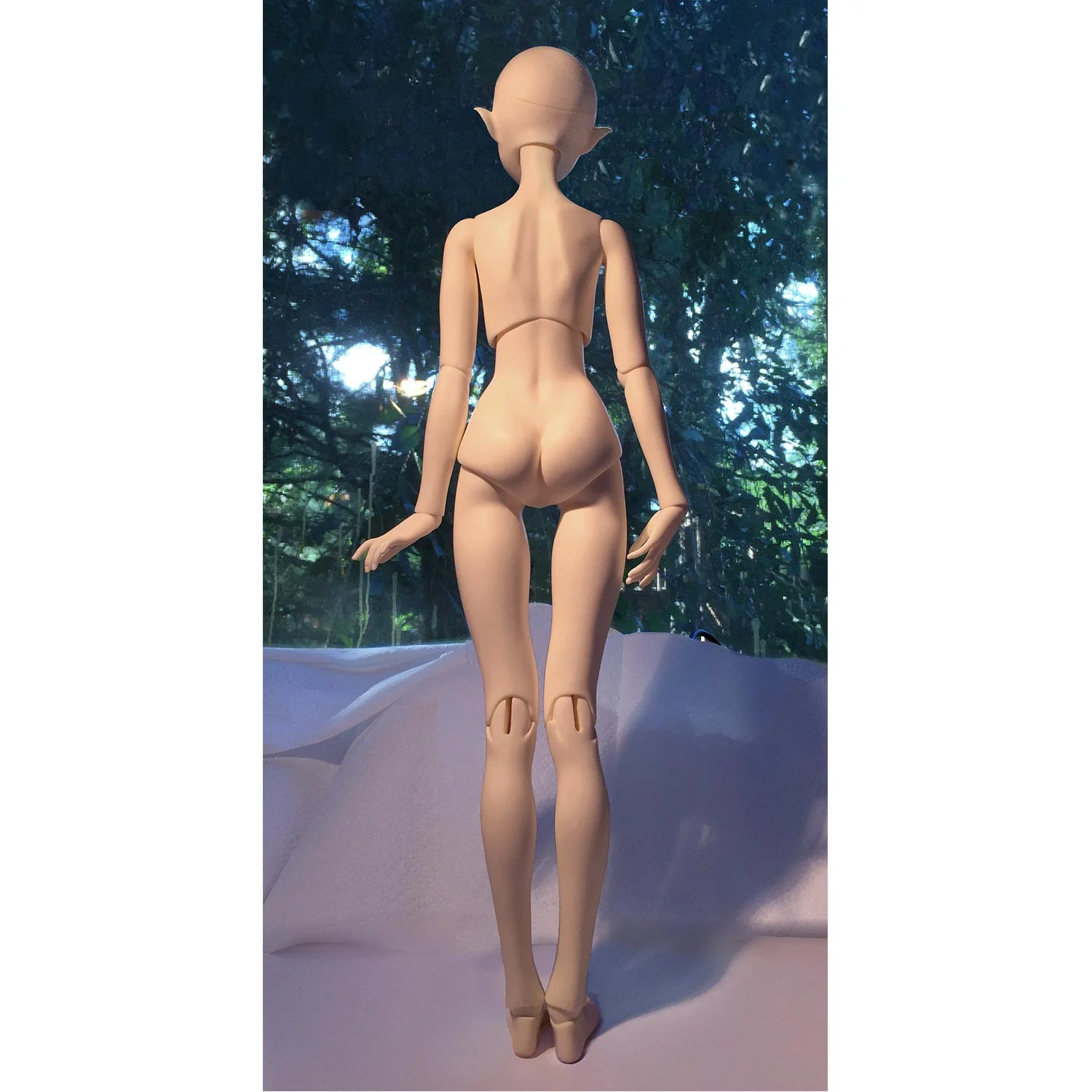 body.jpg