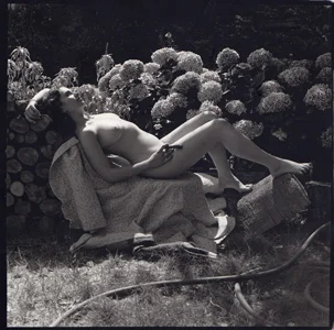 Elizabeth's Got Wood, 2013