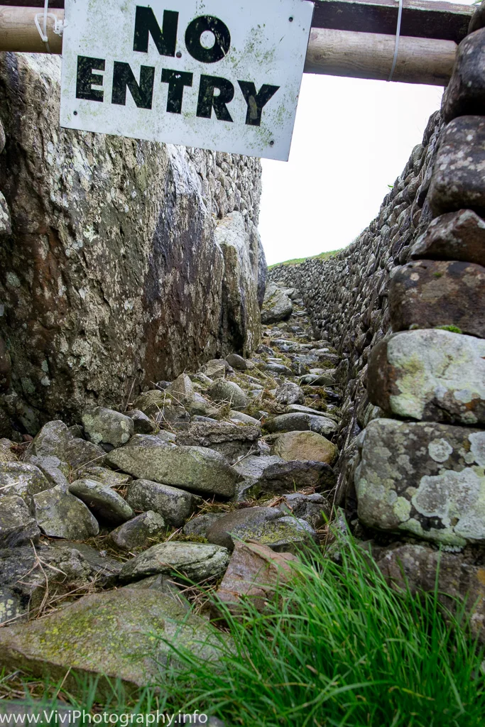 Ireland-87.jpg