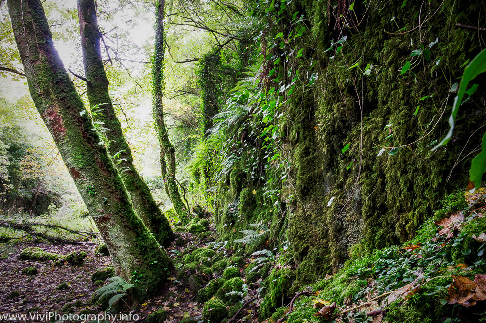 Ireland-112.jpg