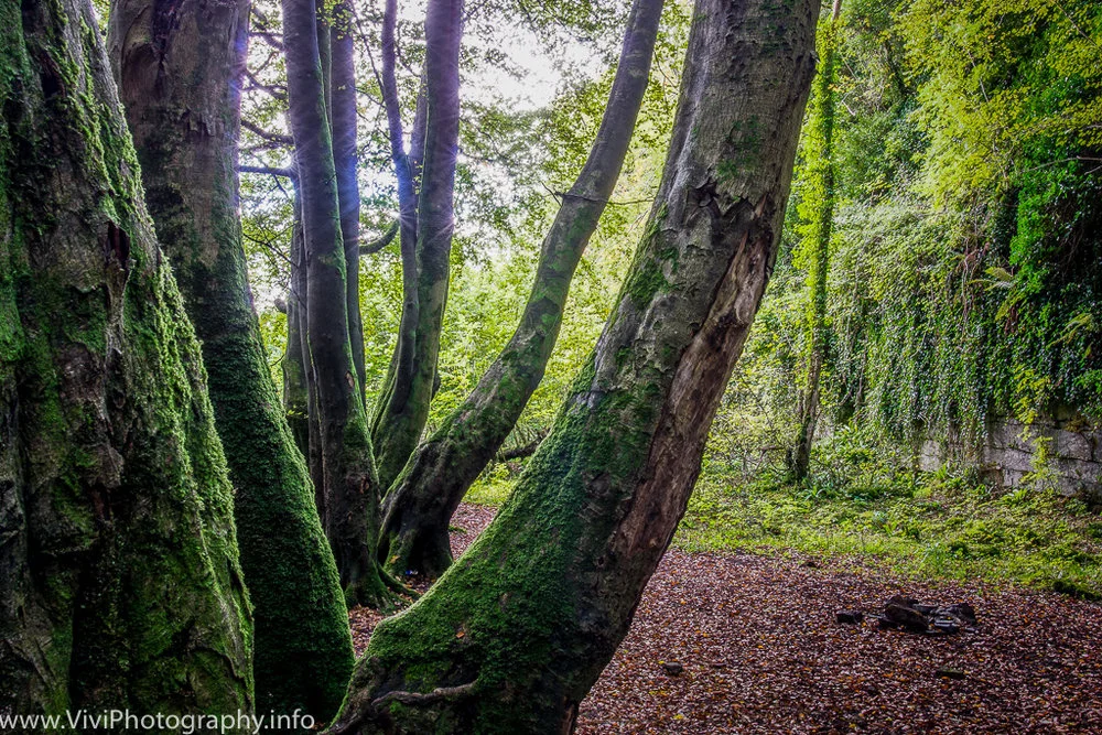 Ireland-118.jpg