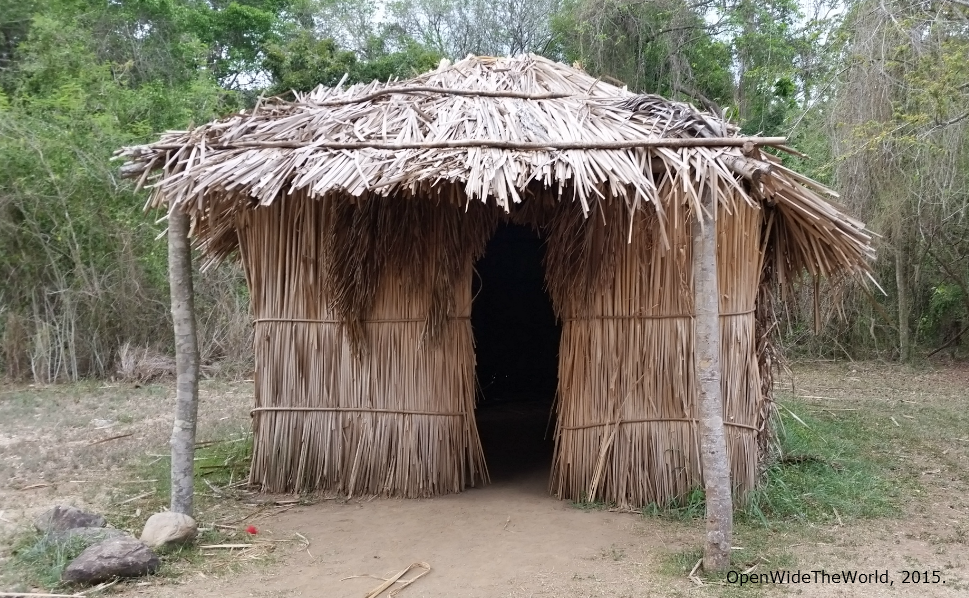 taino tour puerto rico