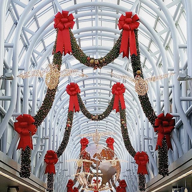 Merry Christmas, Travelers!
.
Our Christmas Eve-Eve started in Chicago's O'Hare Airport, swung through Seattle, and is ending in Orange County's John Wayne Airport.
.
We must have made 🎅Santa's *really* nice list because: 
1) We breezed through our 