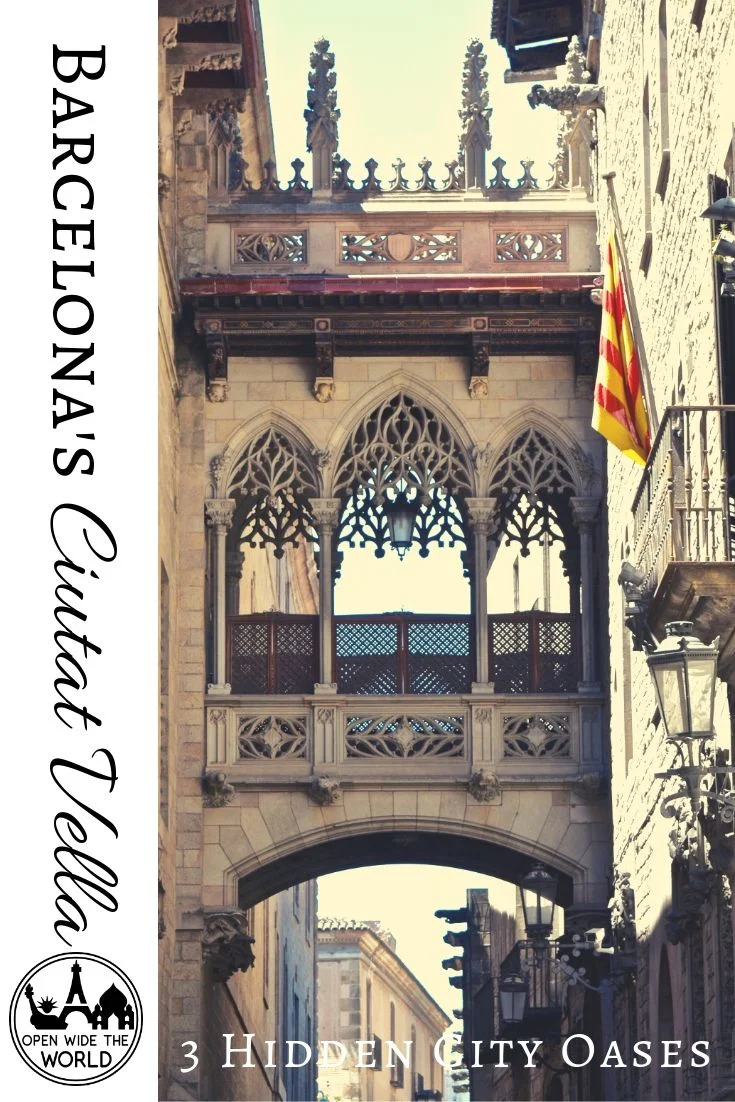 Barcelona's Ciutat Vella. So much beauty and history in one charming city. But Medieval over-construction means narrow streets with few trees and even fewer benches. Throw in millions of tourists and thousands of selfie sticks, and finding a moment of peace becomes top priority. #barcelona #openwidetheworld