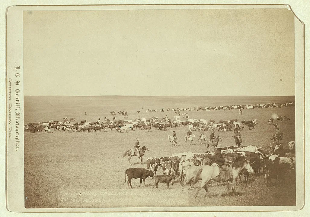“Roundup Scenes” by John C.H. Grabill.