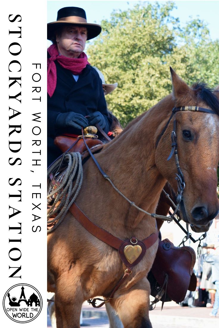 Check out our 1-day itinerary on the western frontier at Fort Worth Stockyards Station National Historic District. Includes a cattle drive, walking tours, and all things cowboy! #fortworth #stockyardstation #texas #cowboy #travel #UStravel
