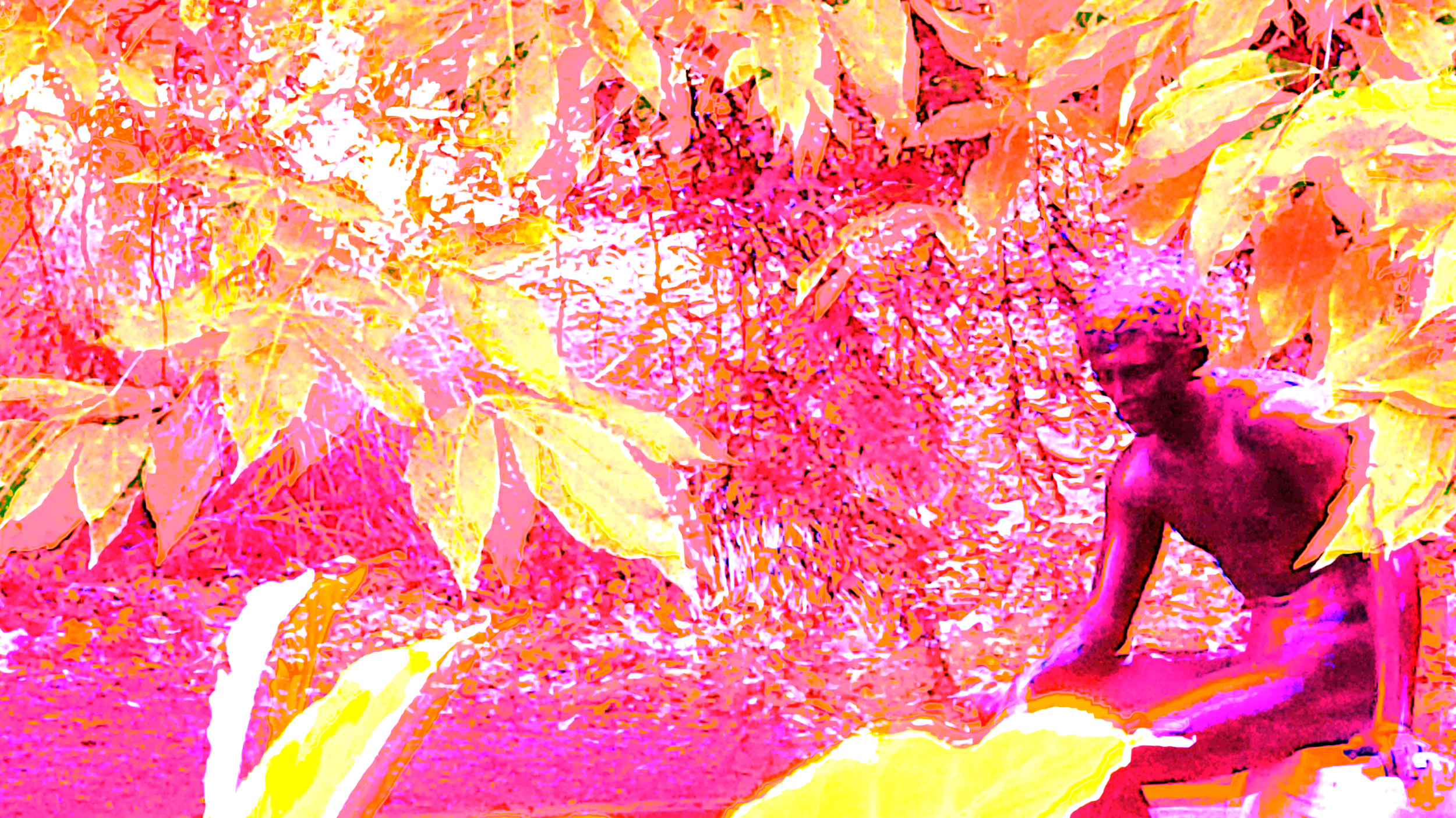 2019-10-28 fb header.png