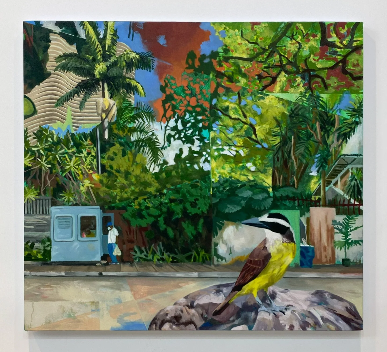Bem-te-via (I saw you well, Greak Kiskadee)