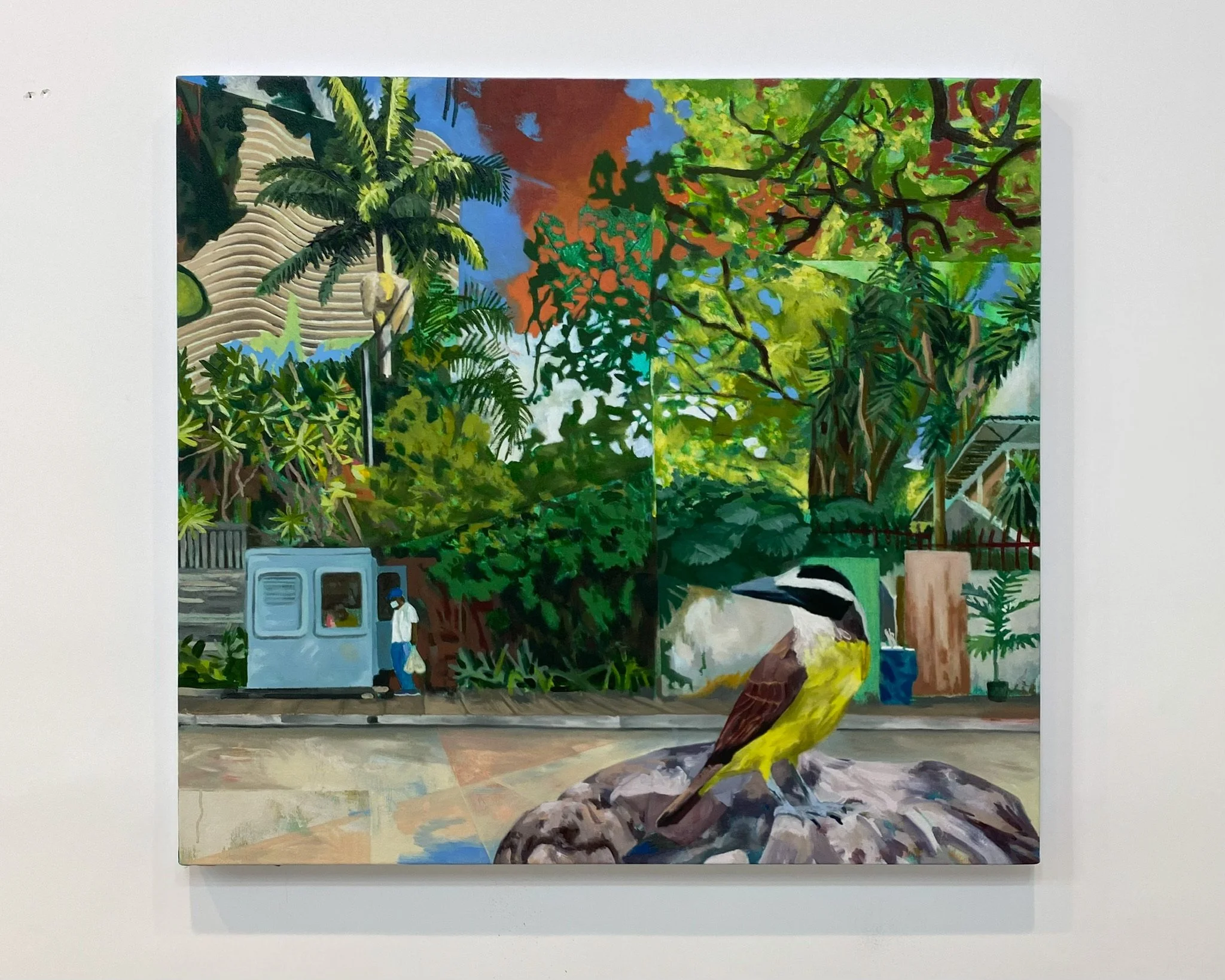 Bem-te-via // I saw you well (Greak Kiskadee)