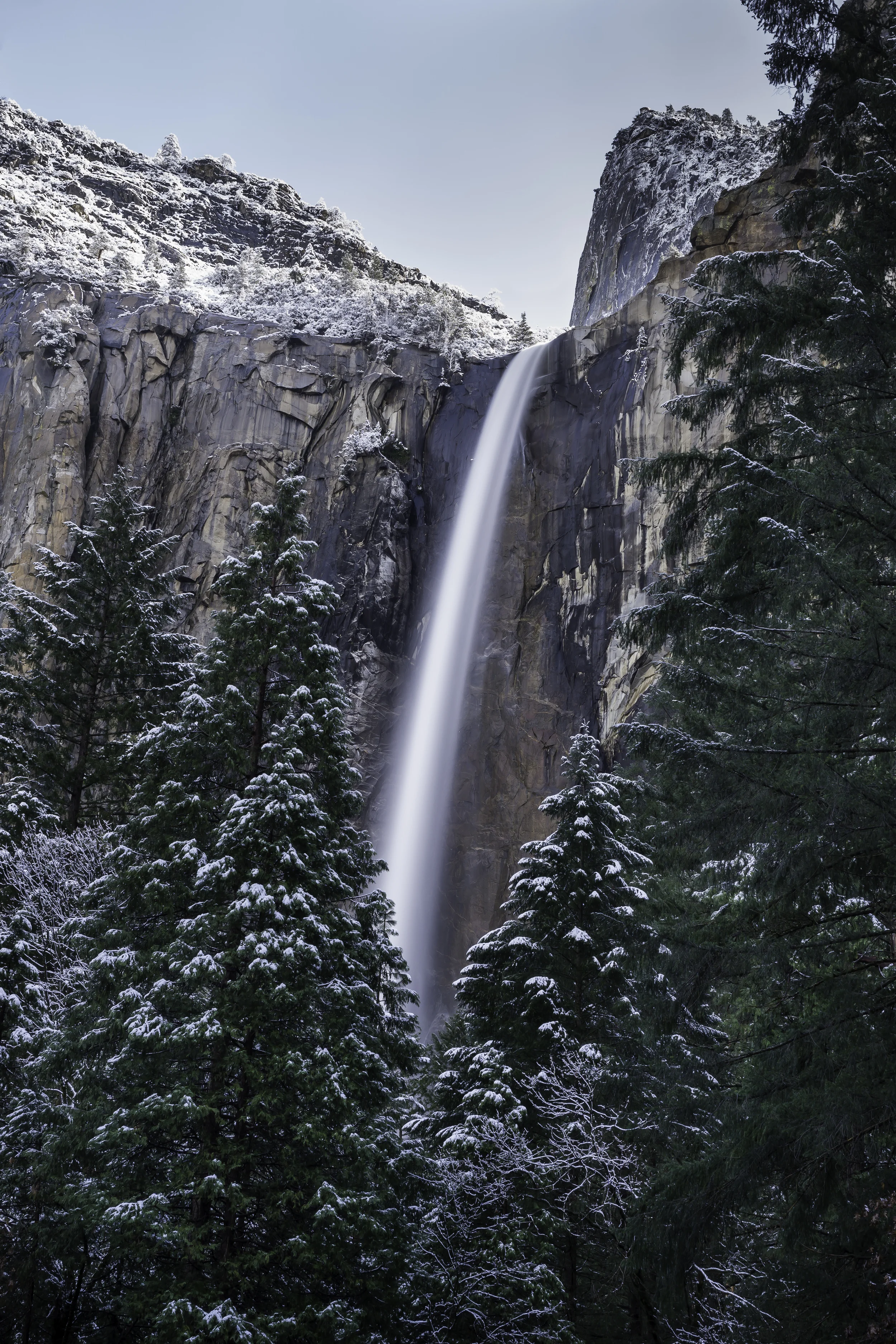 _DSC7362-3.jpg
