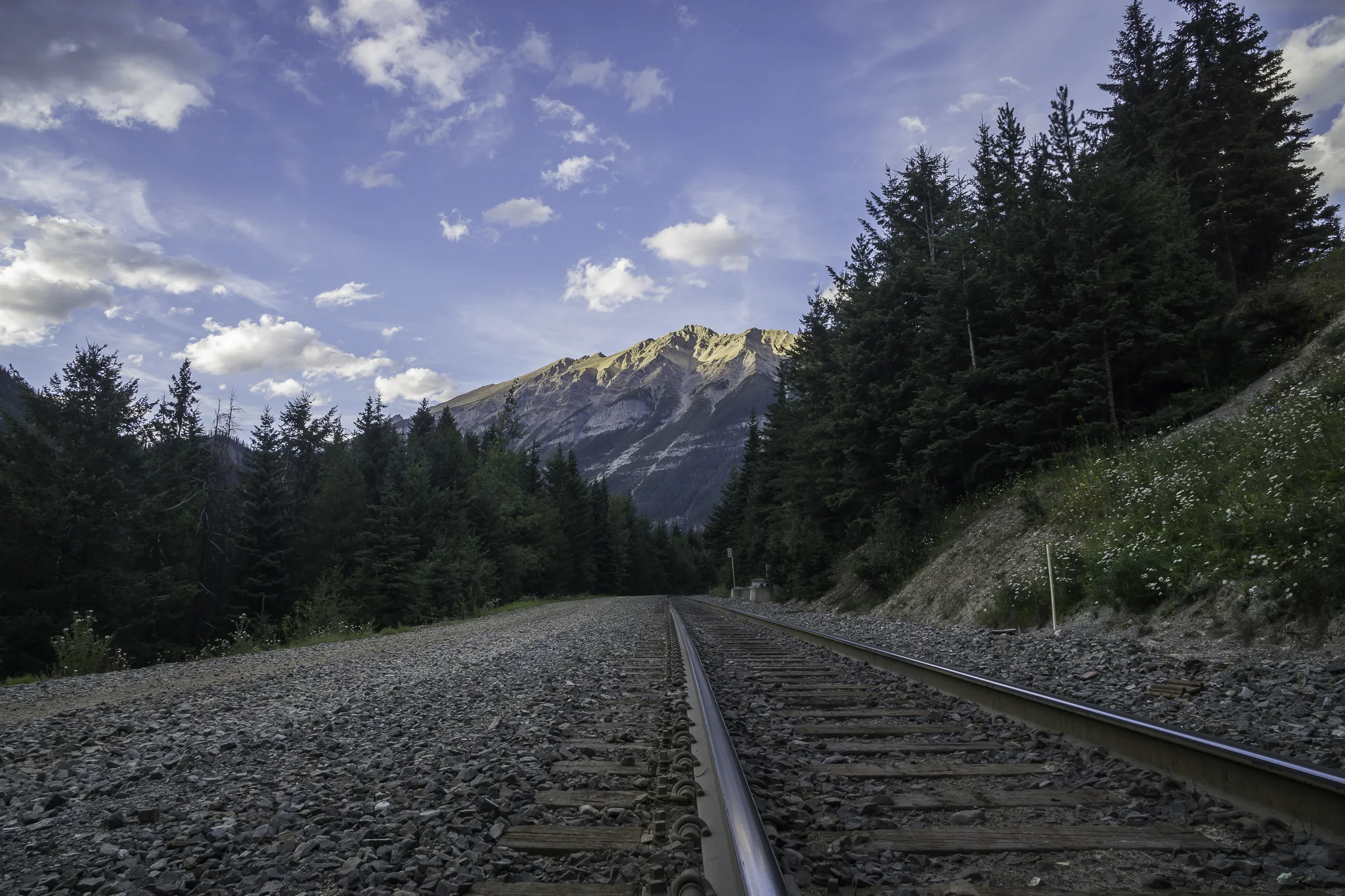 _DSC9281-2.jpg
