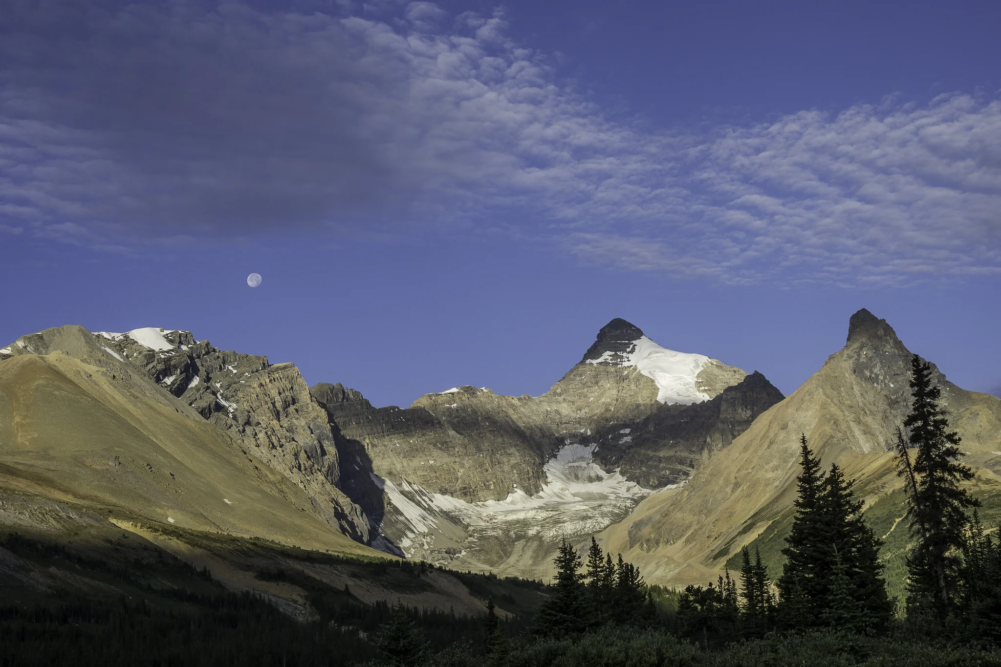 _DSC9079.jpg