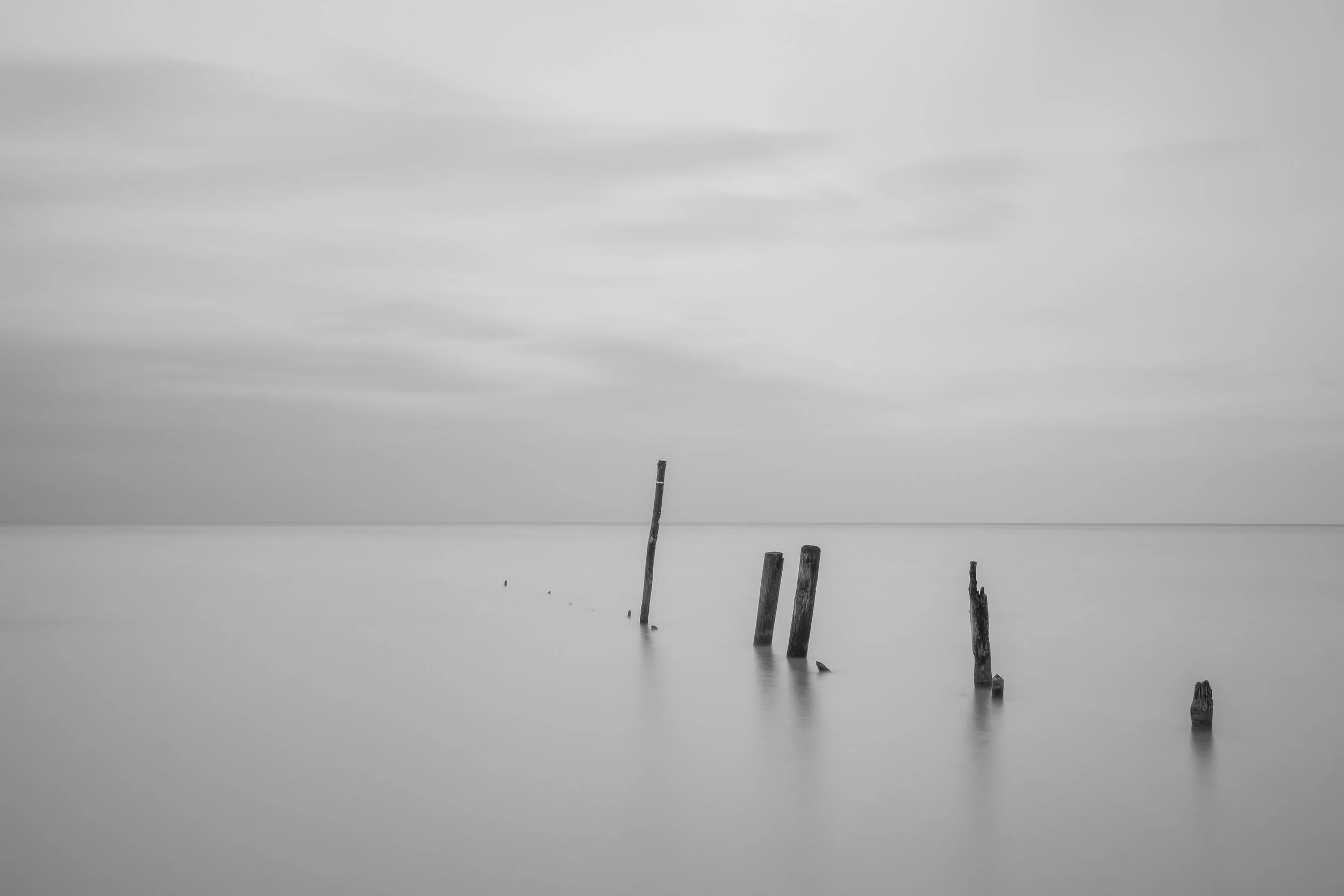 DSC08847-2.jpg