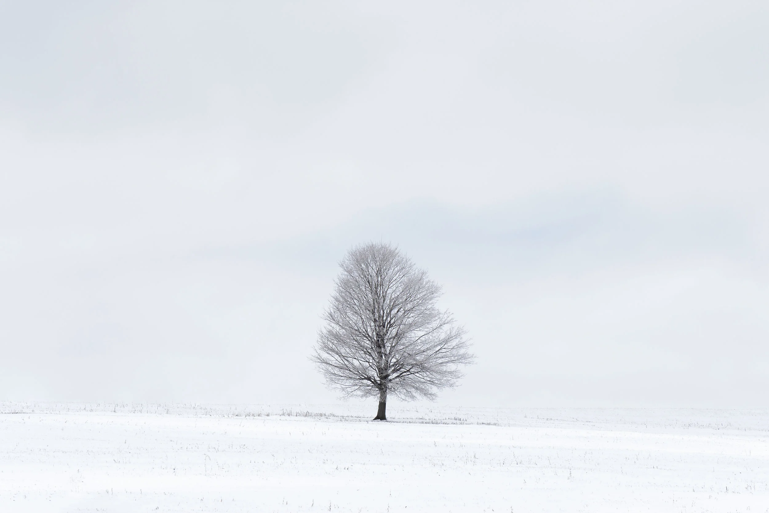DSC03309-PS-edit.jpg