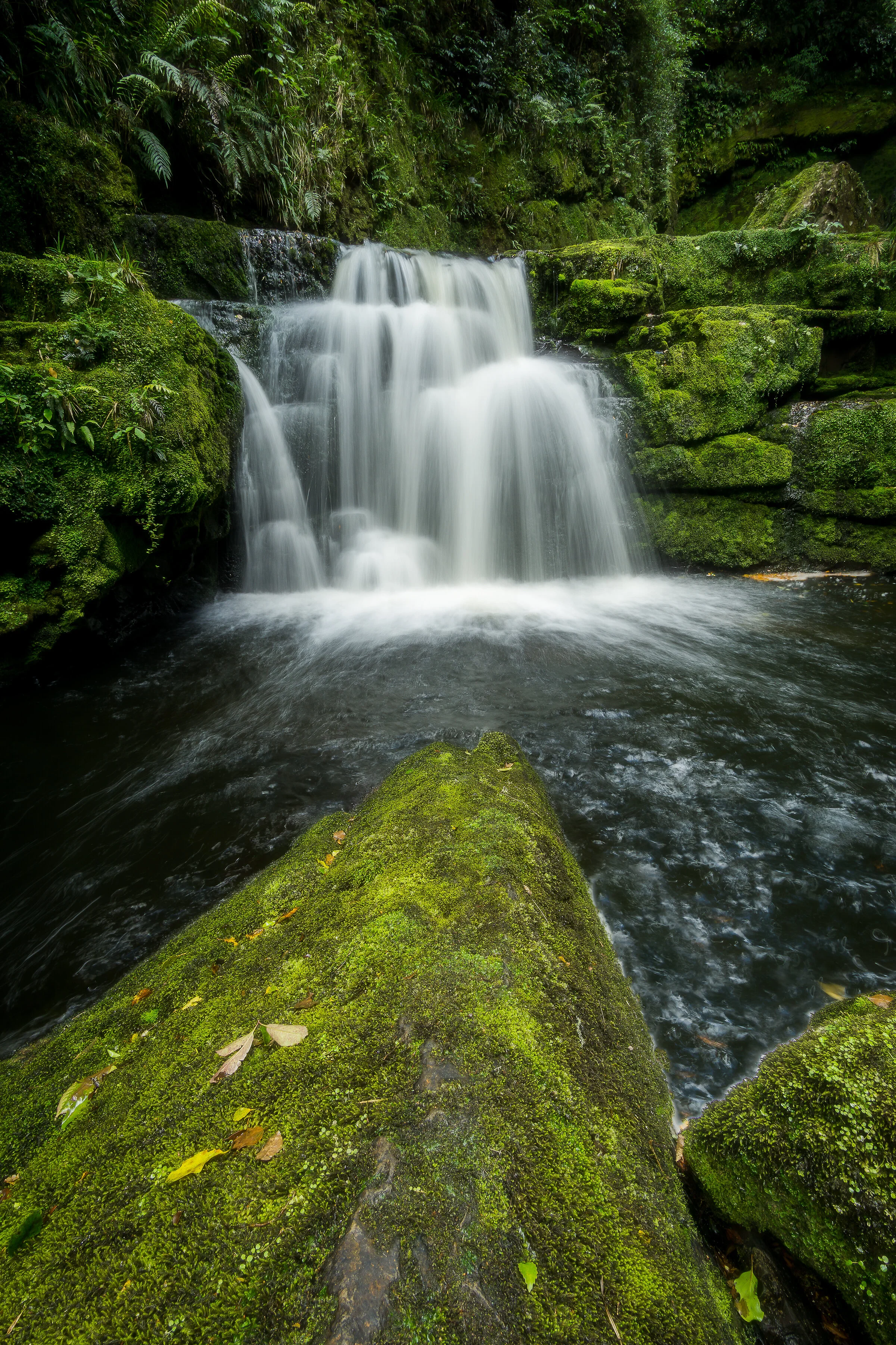 DSC00992-PS-edit.jpg