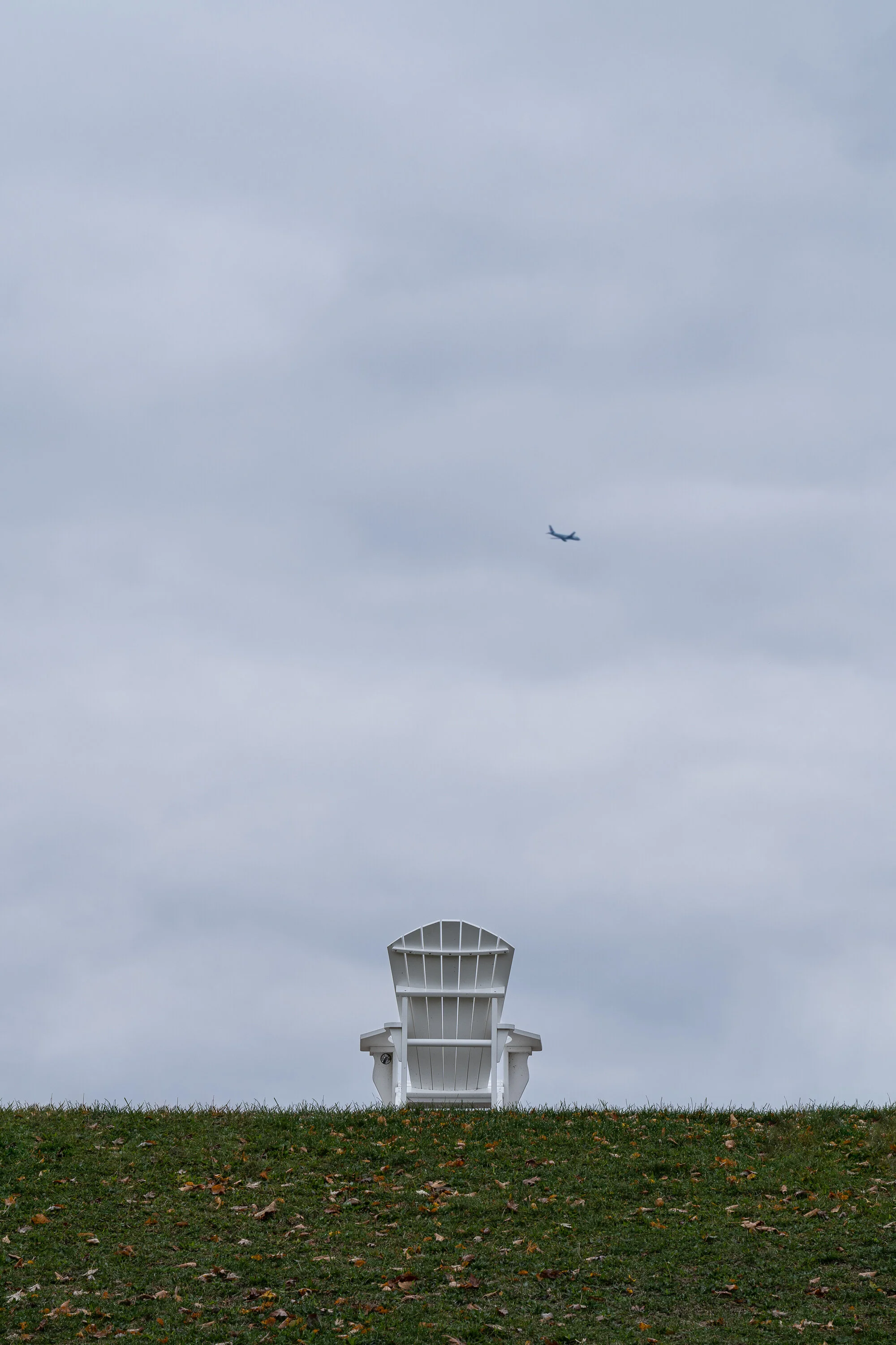 DSC02526-PS-edit-PS-edit.jpg