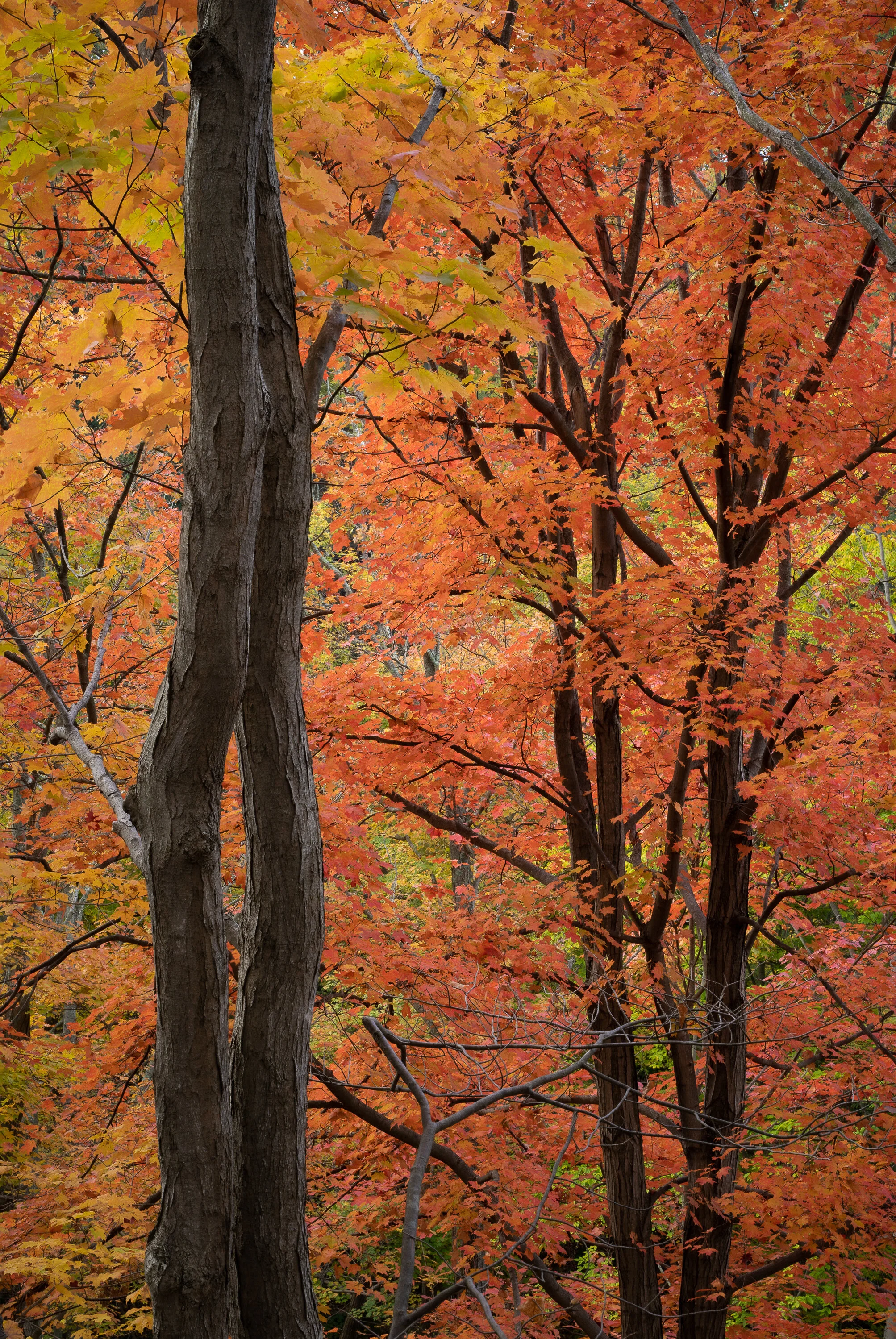 DSC01864-PS-edit.jpg