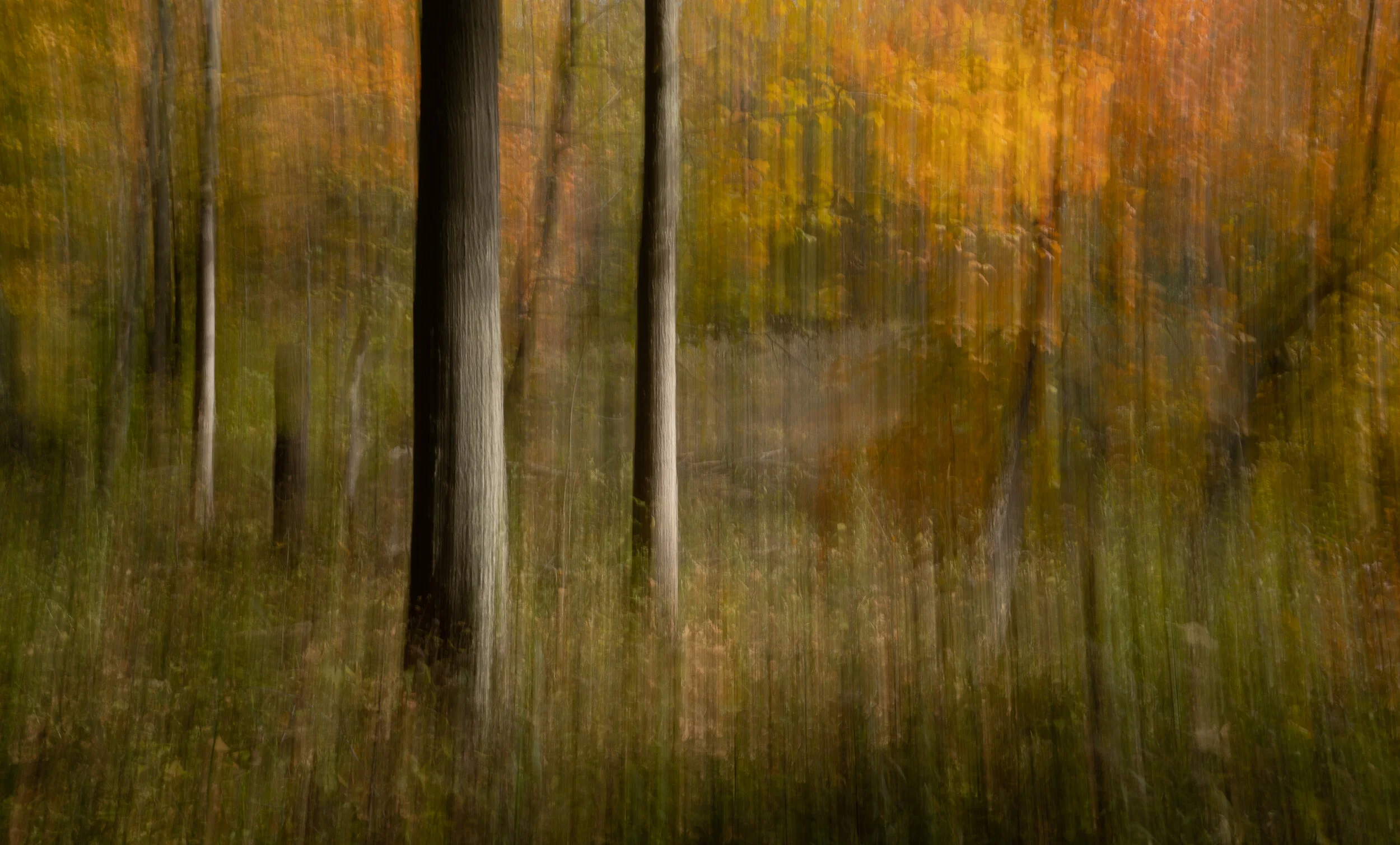 DSC02131-PS-edit.jpg