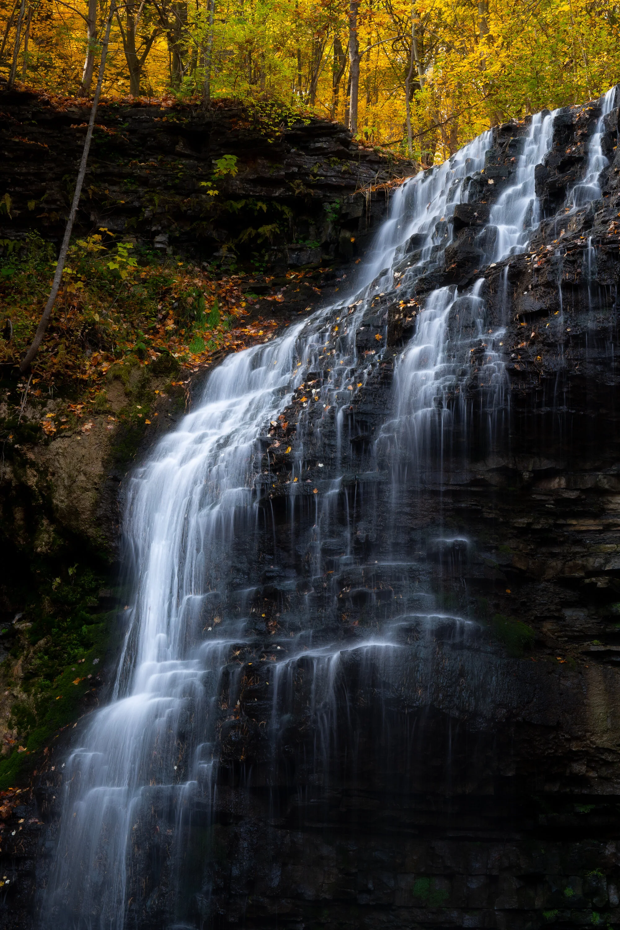 DSC02359-PS-edit.jpg
