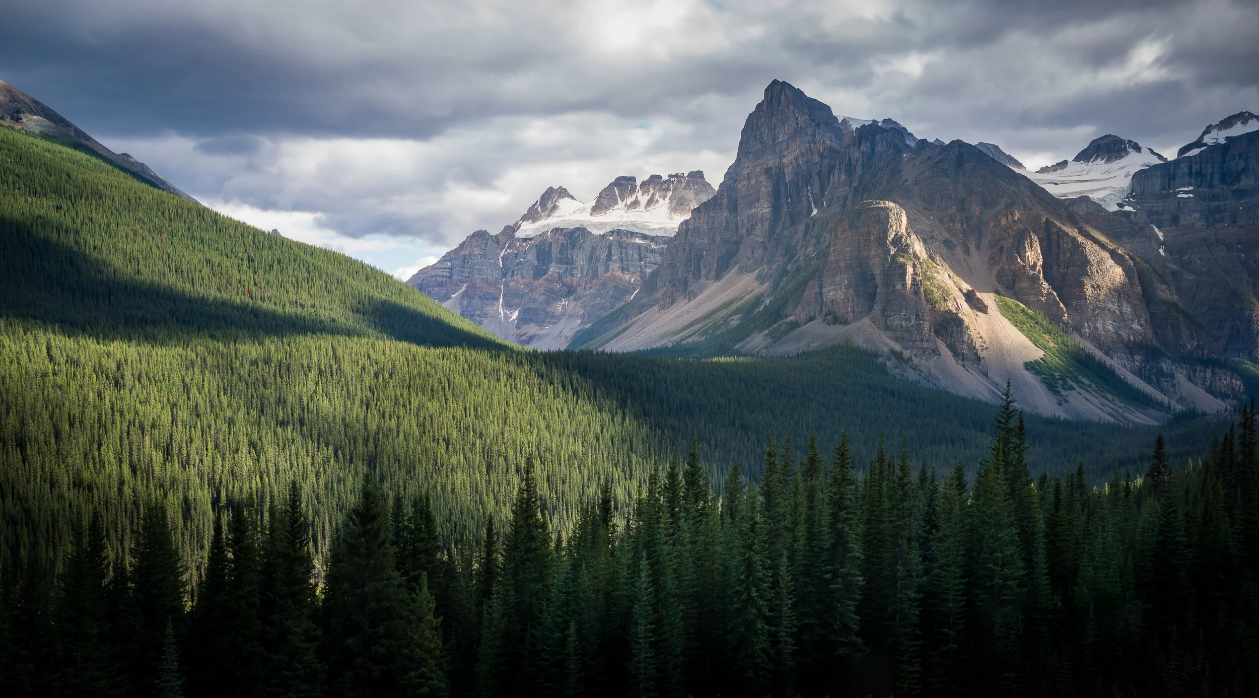 _DSC8776-PS-edit.jpg