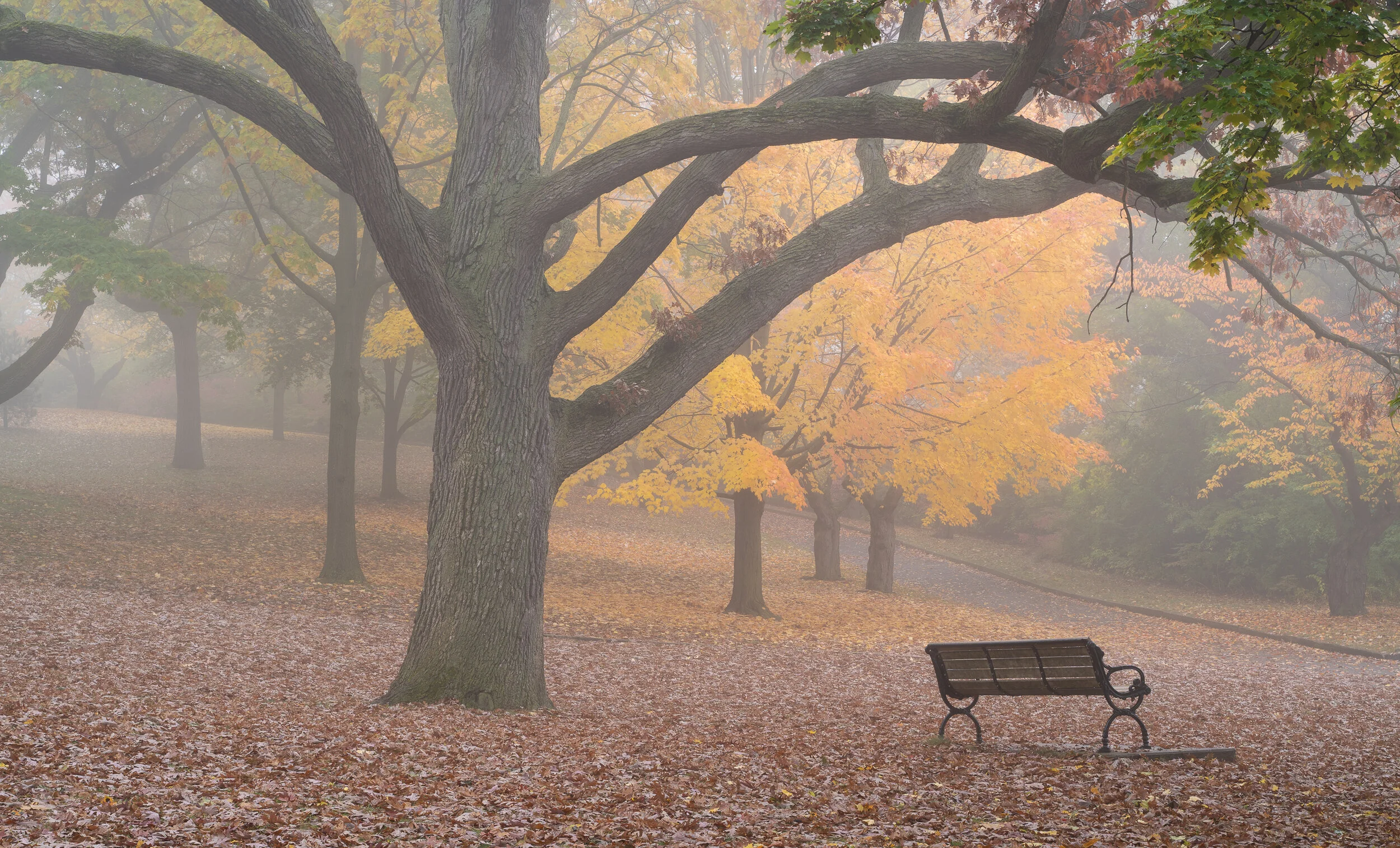 DSC05906-PS-edit.jpg