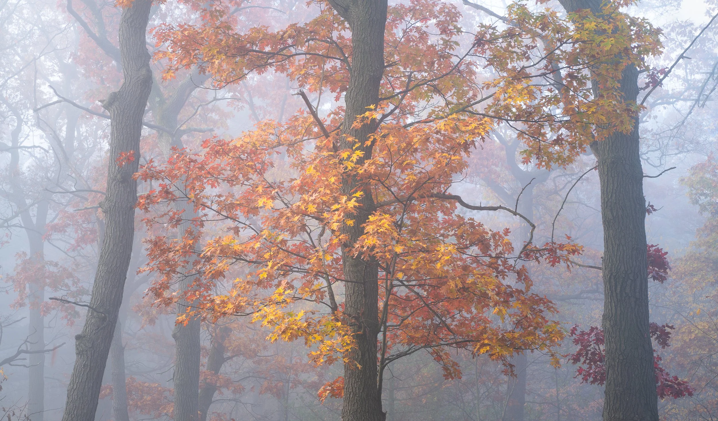 -PS-edit-01574-3.jpg