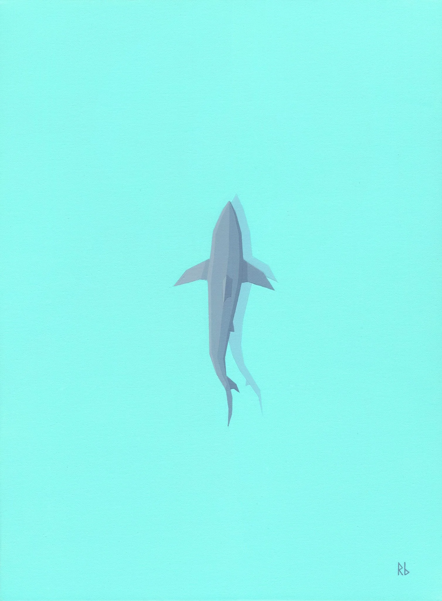 shark final.jpg