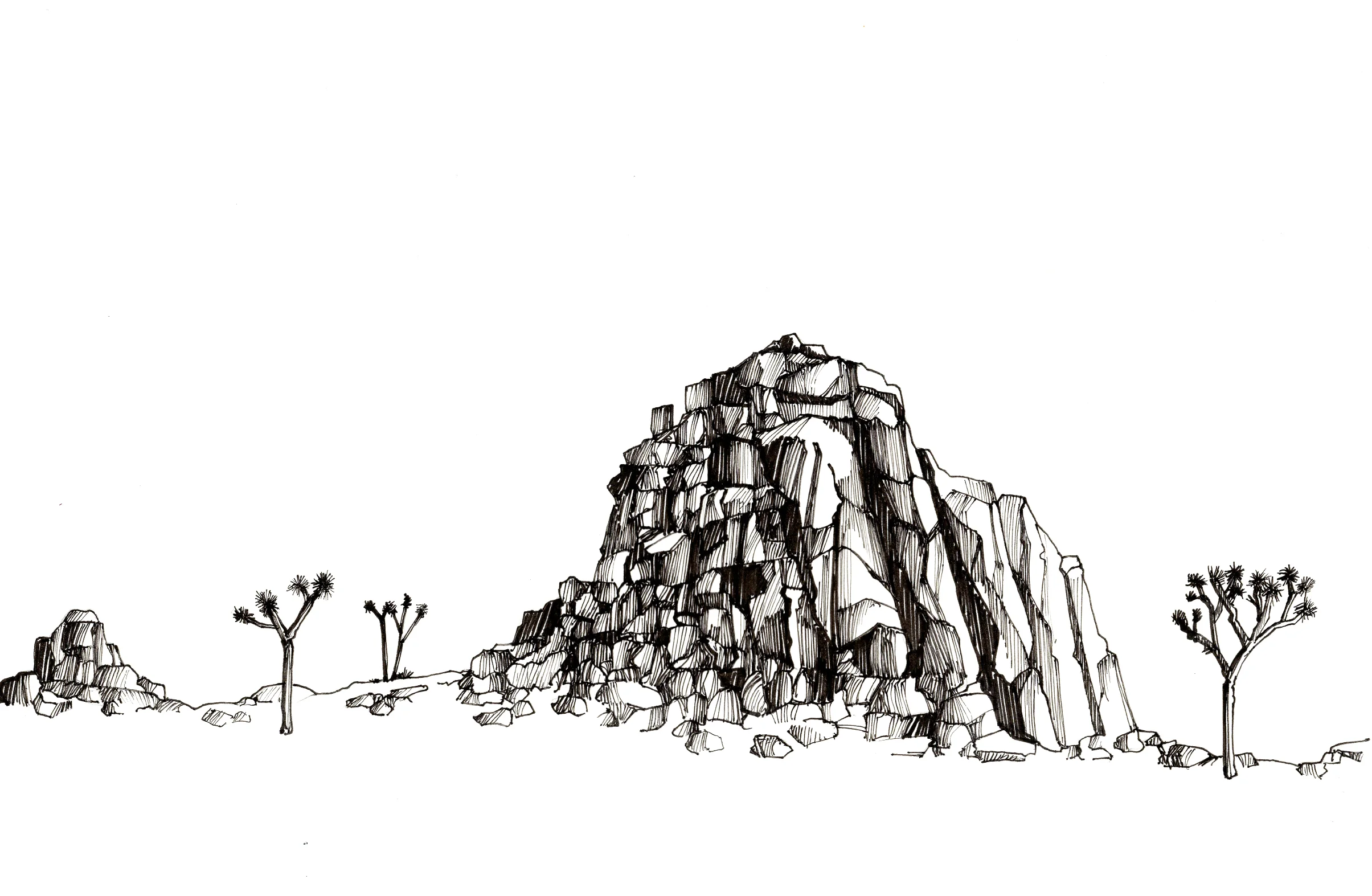 Joshua Tree I