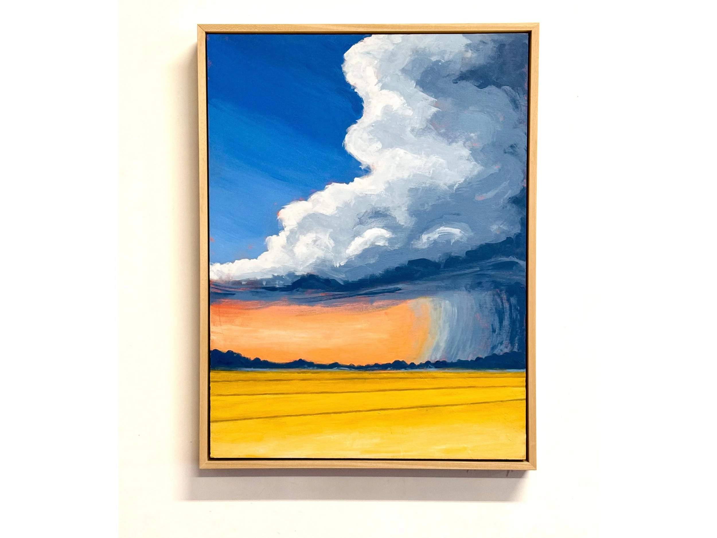 summer storm 4x3.jpg