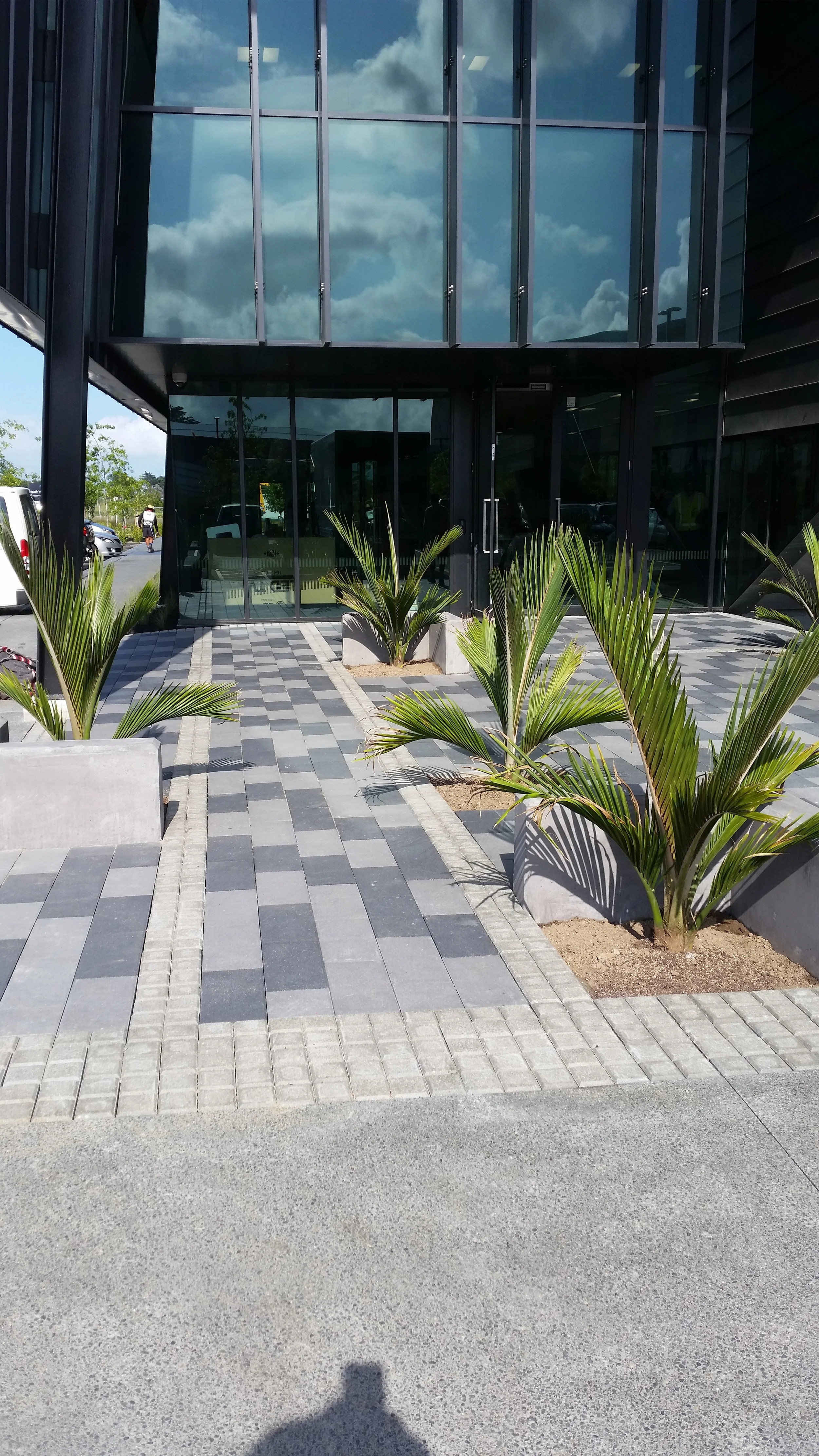 20160212_100831 (copy).jpg