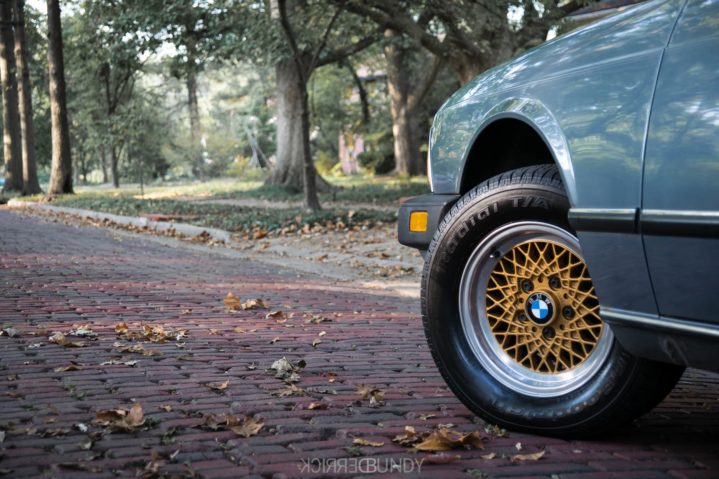 DSC_0111.jpg