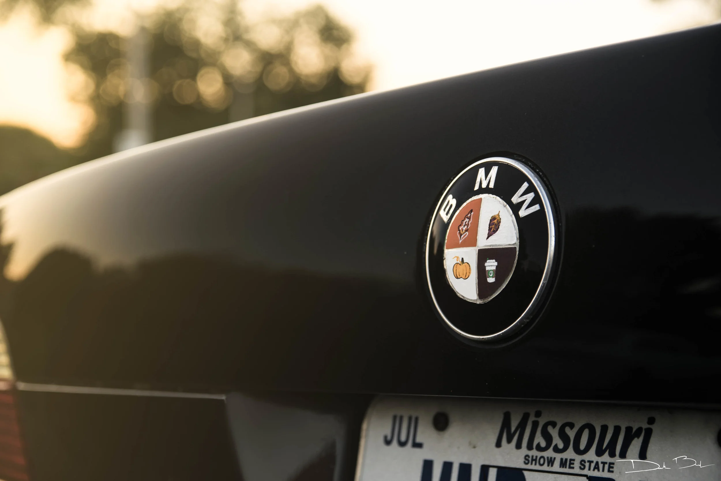 BMW Seasonal Roundel