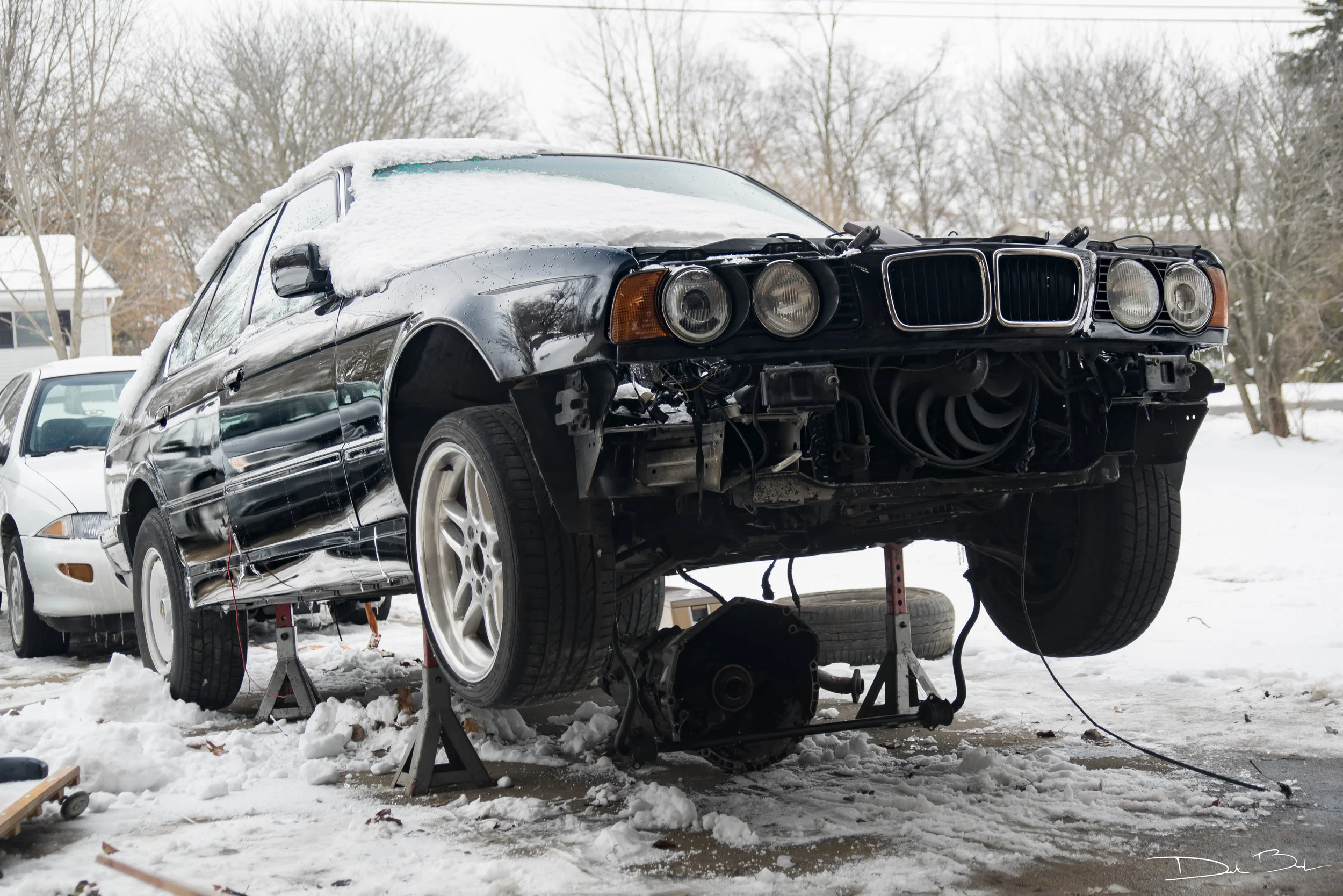 DSC_0004-2.jpg