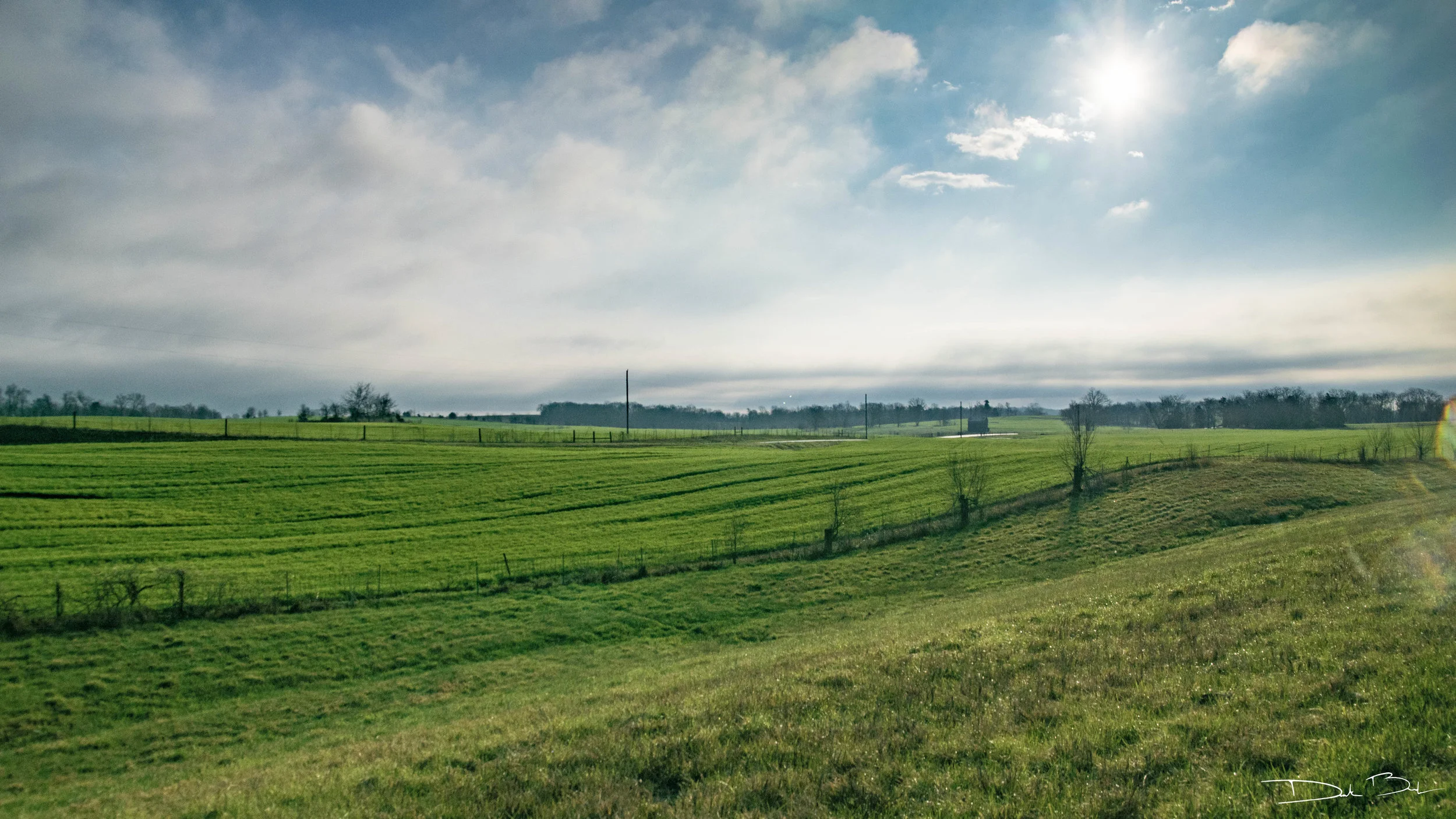 DSC_0137-2.jpg