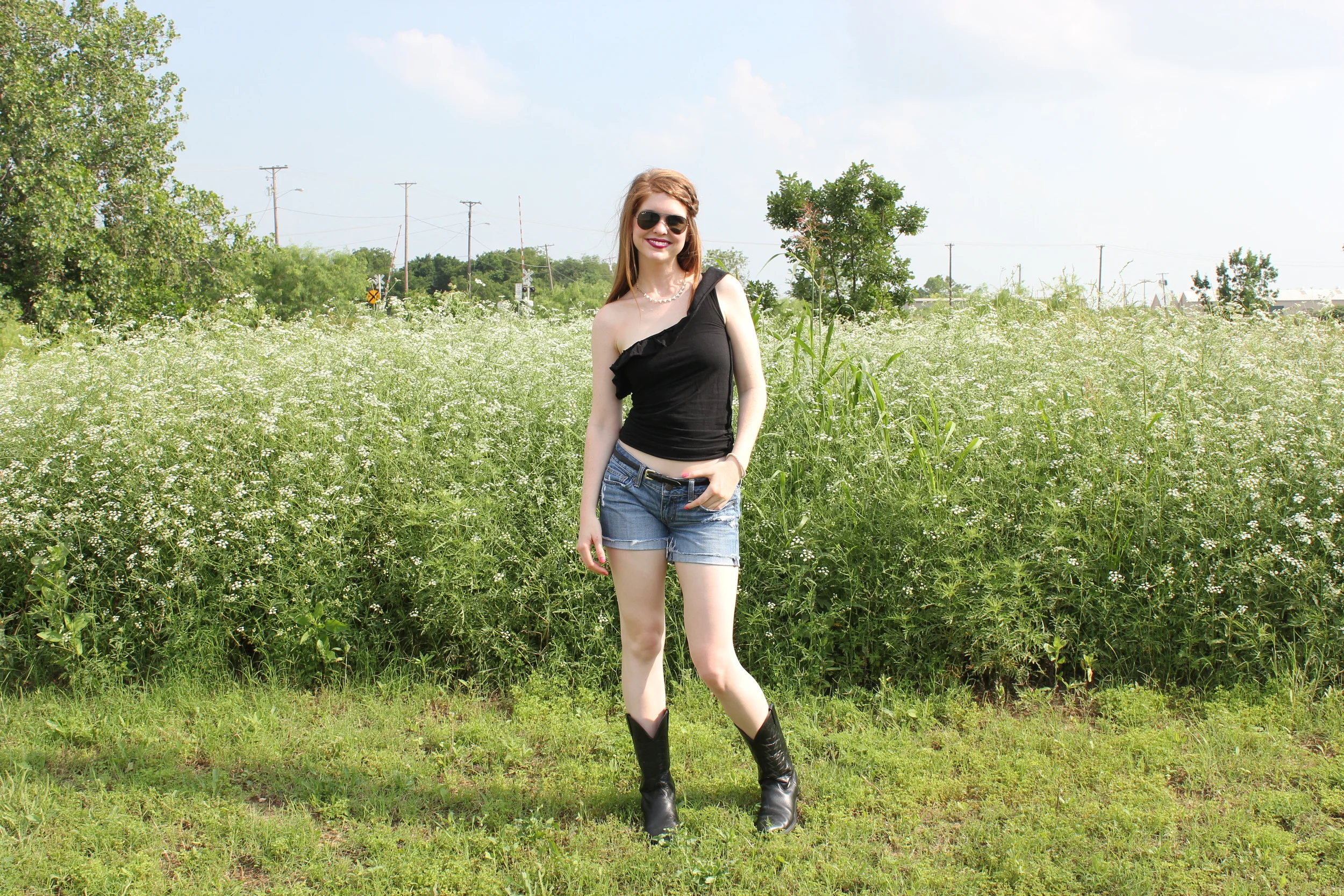 Summer Concert Guide