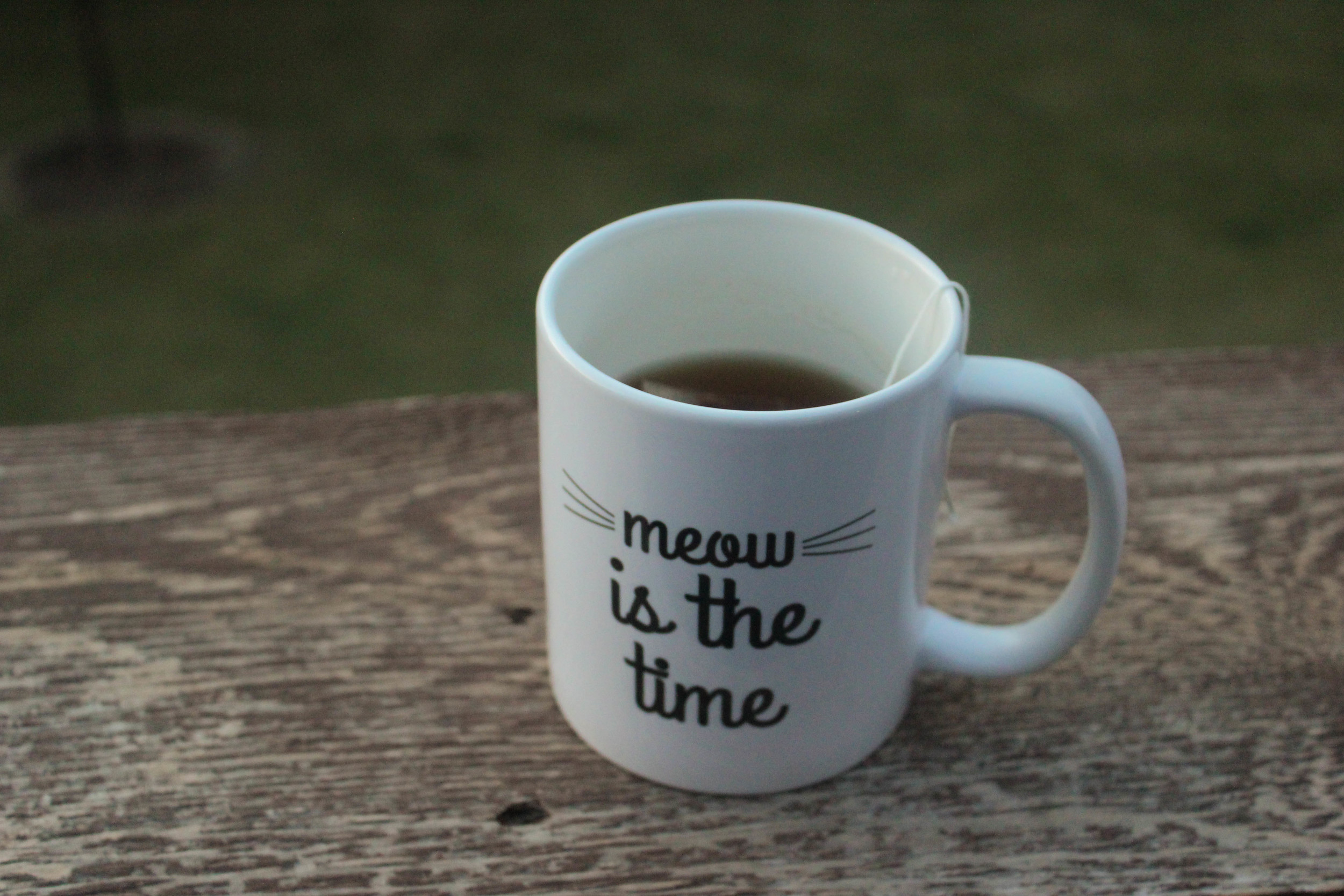 meow is the time mug