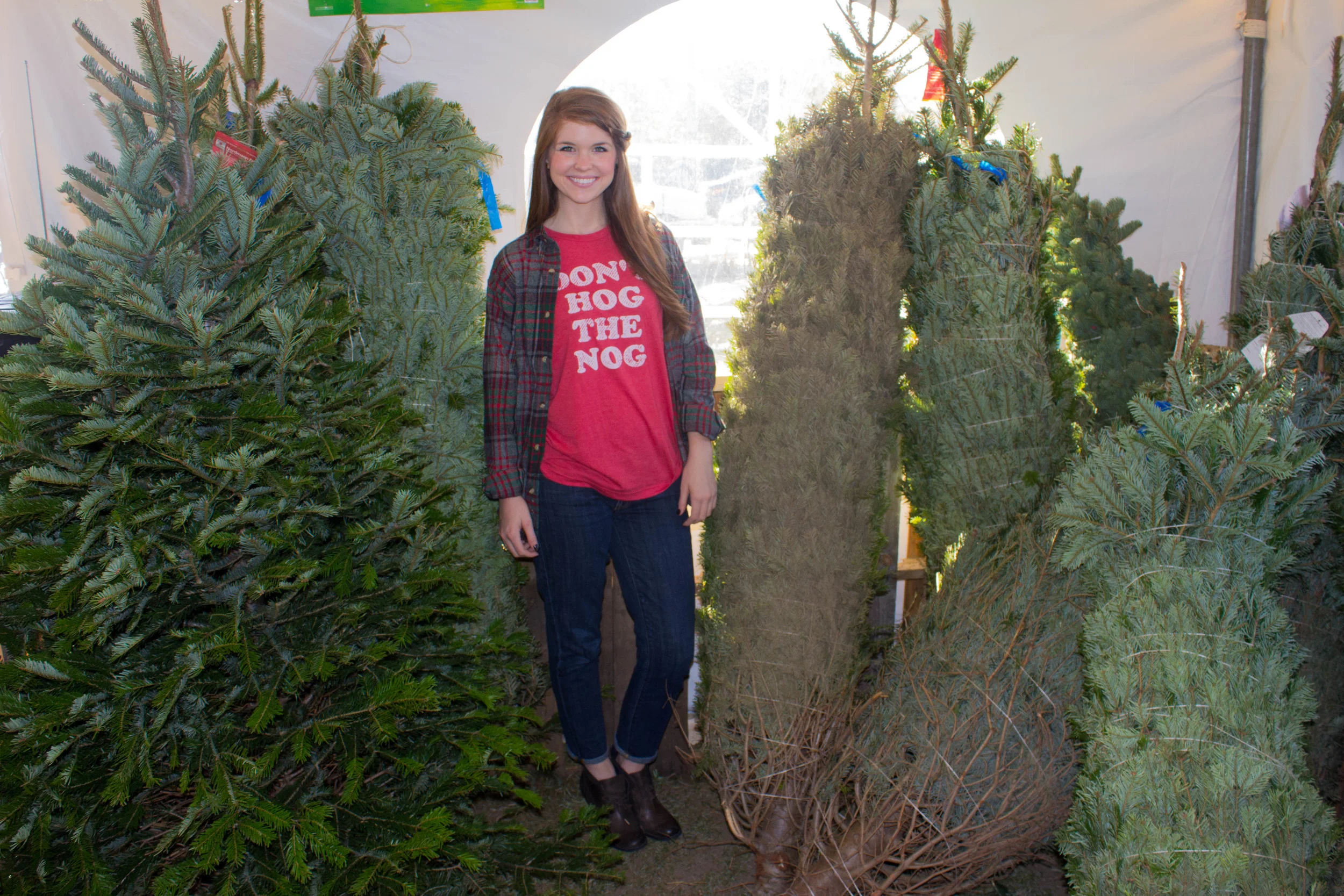 Money Doesn't Grow on (Christmas) Trees