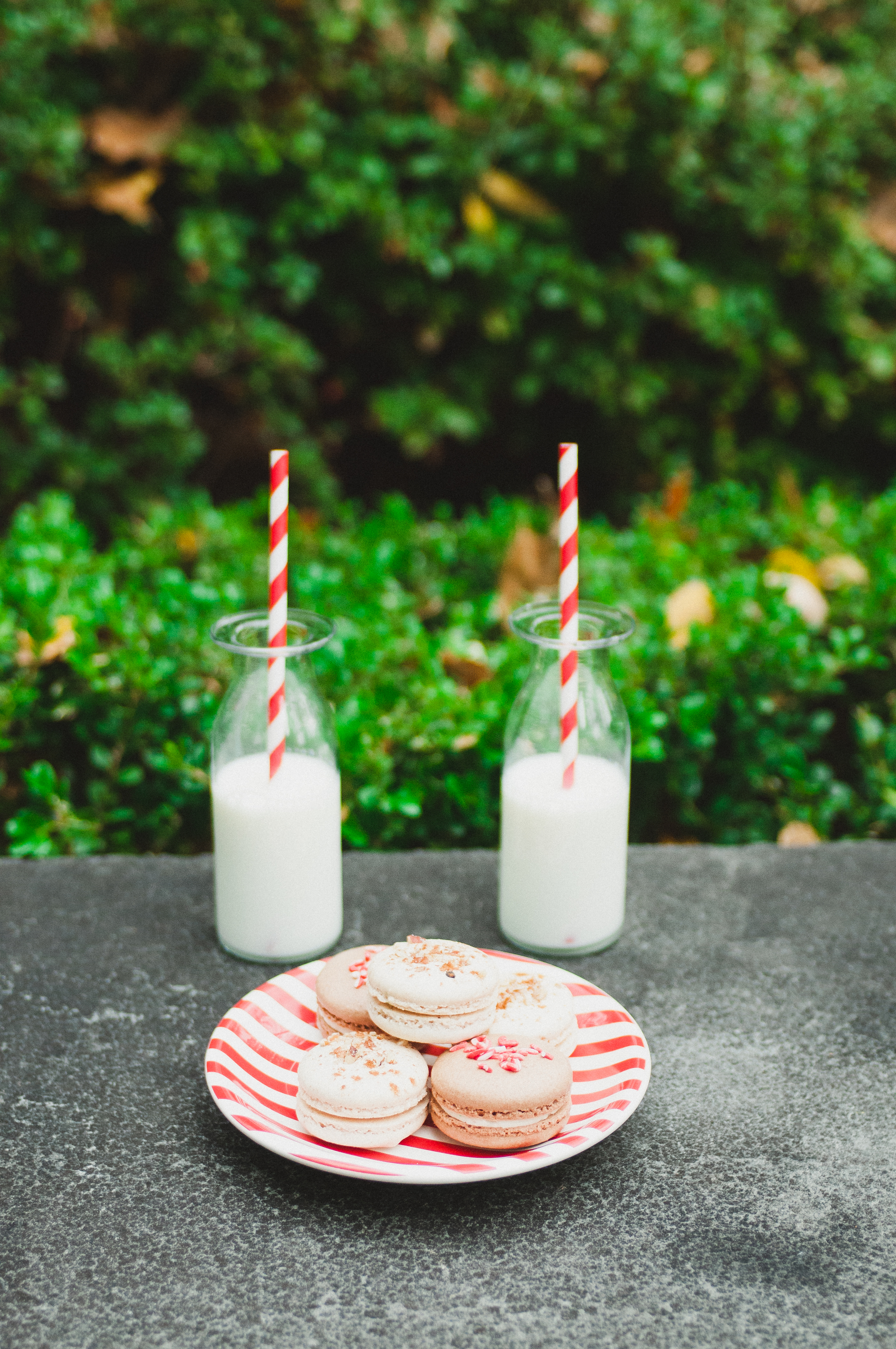 macarons and milk, christmas pictures, christmas engagements