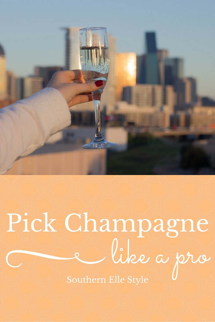 how to pick champagne like a pro, day dreamer champagne s'il vous plait, southern elle style