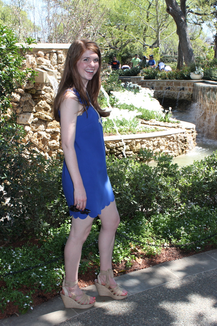 J crew Royal blue scallop dress, pearls, Dallas arboretum, spring style