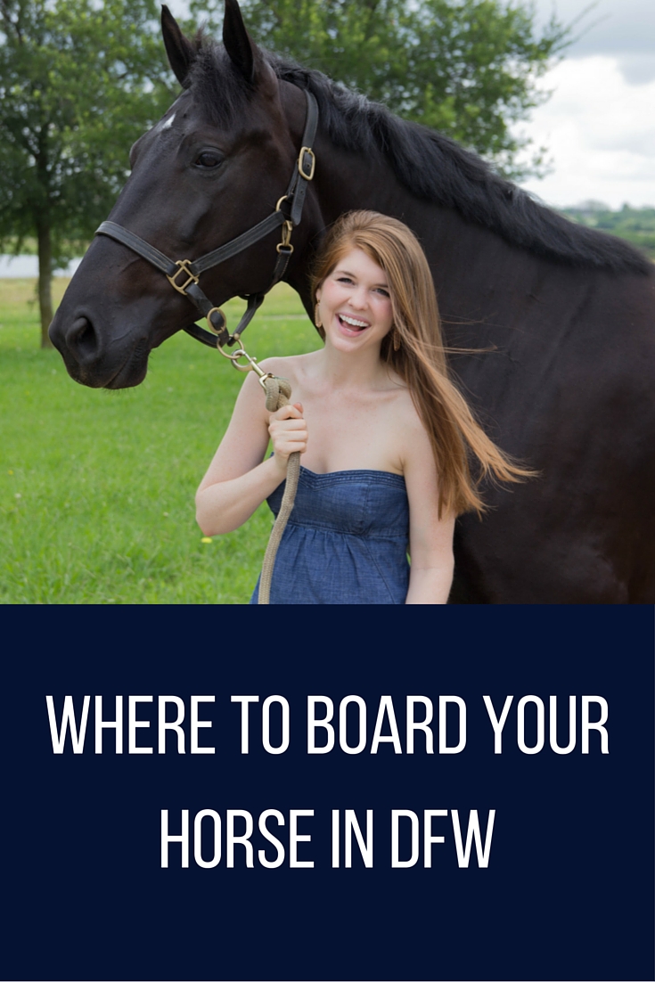 where to board your horse in DFW, horse boarding dallas, horse trainers texas, black star sport horses, rockwall