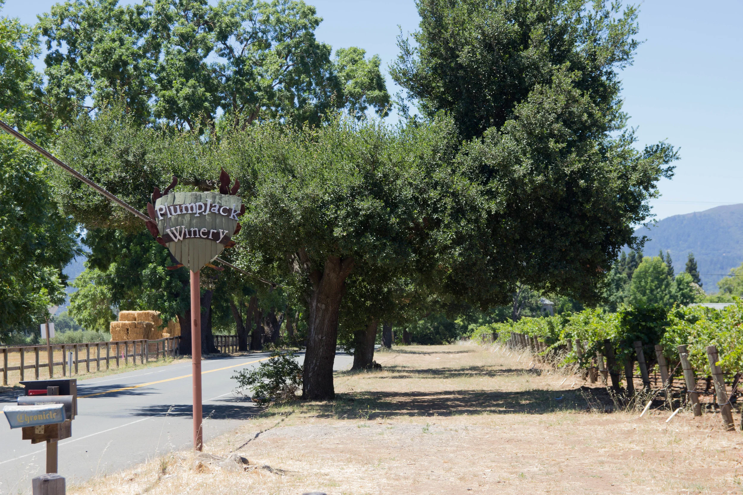 napa, napa valley, california, wine country, 24 hours in napa, what to do if you only have 1 day in napa, where to wine taste in napa, plumpjack winery
