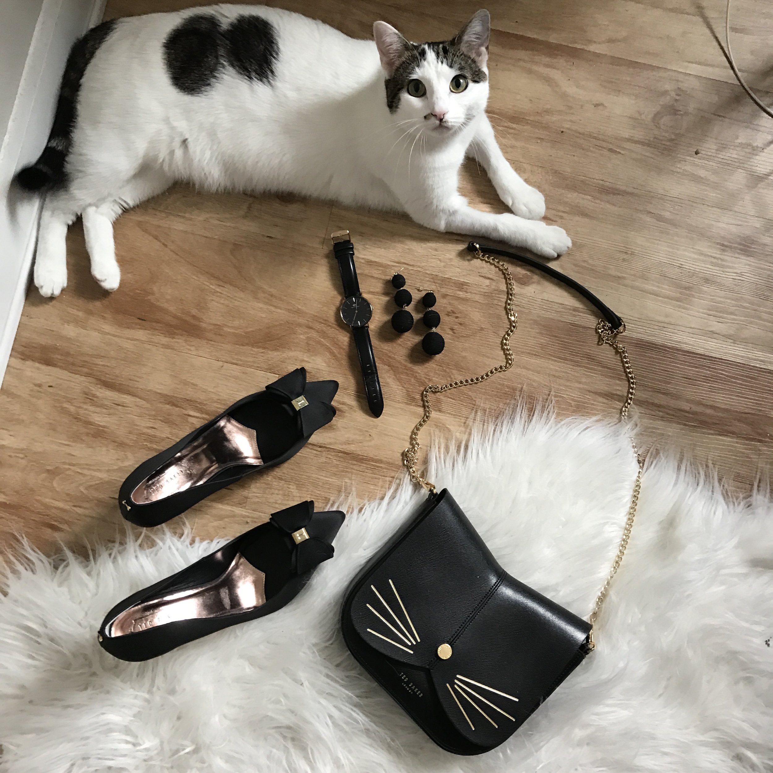Peer Fjern skade How Much does a Cat actually Cost? | LMents of Style | Fashion & Lifestyle  Blog