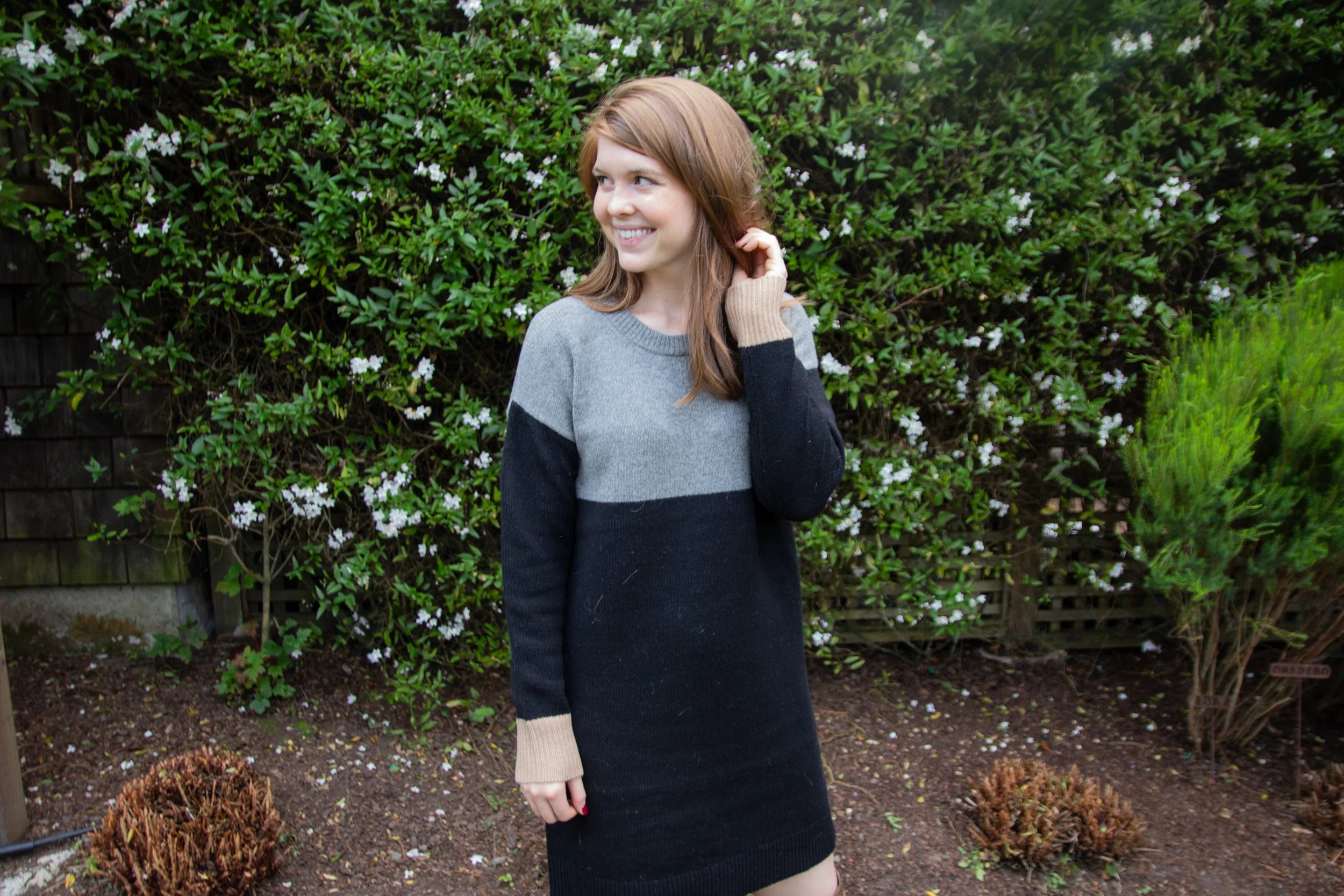 colorblock sweater dress madewell