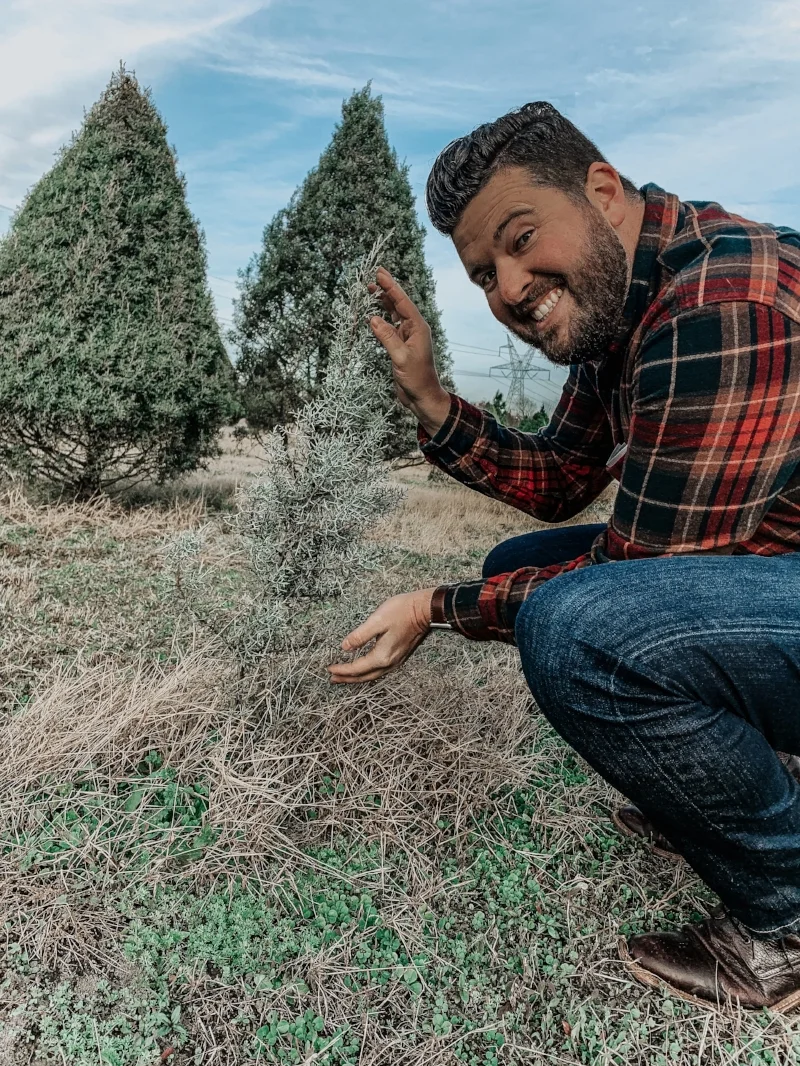 Where To Cut Down Your Own Christmas Tree Near Dallas Lments Of Style Fashion Lifestyle Blog