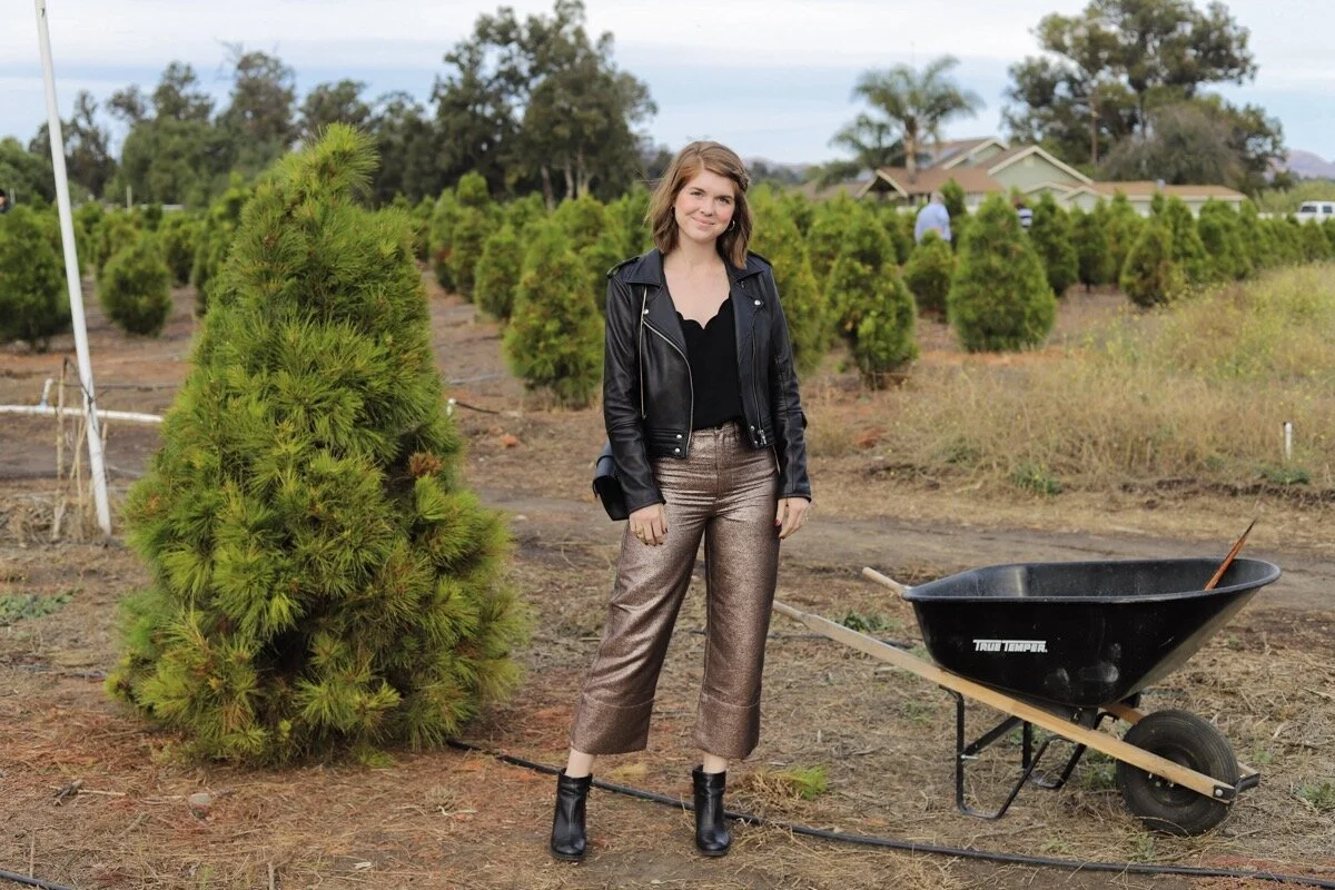Where to Chop Down a Christmas Tree Near Los Angeles